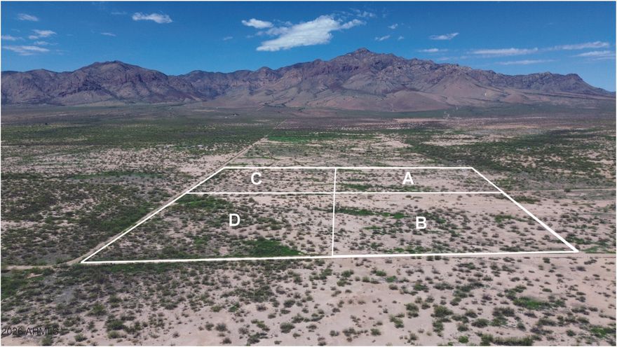 Beautiful 9.19 acres of Cochise County RU-4 zoned property. Survey was just completed. Here is your chance for an off-grid getaway or your forever home in quiet Portal AZ. Enjoy the sunrise and sunsets in a location you can see the stars. This is a perfect location for star gazing or bird watching. Seller financing is available with $3900 Down plus Pioneer Title account setup and closing Costs, for 5 years at 9.9 percent interest. with a payment of $211.98 per month plus Pioneer Title Processing fee and impounded property tax.