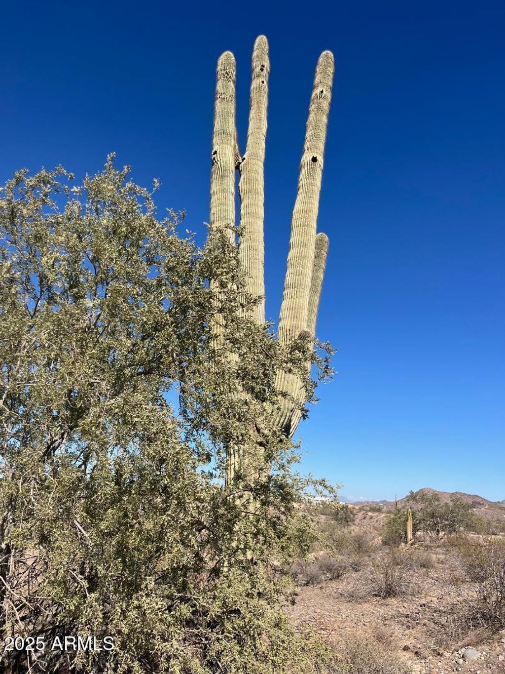 Photo of 26113 N 113th Avenue #-, Peoria, AZ 85383 (MLS # 6798183)