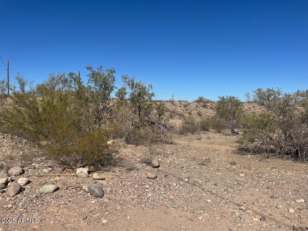 26113 N 113th Avenue -