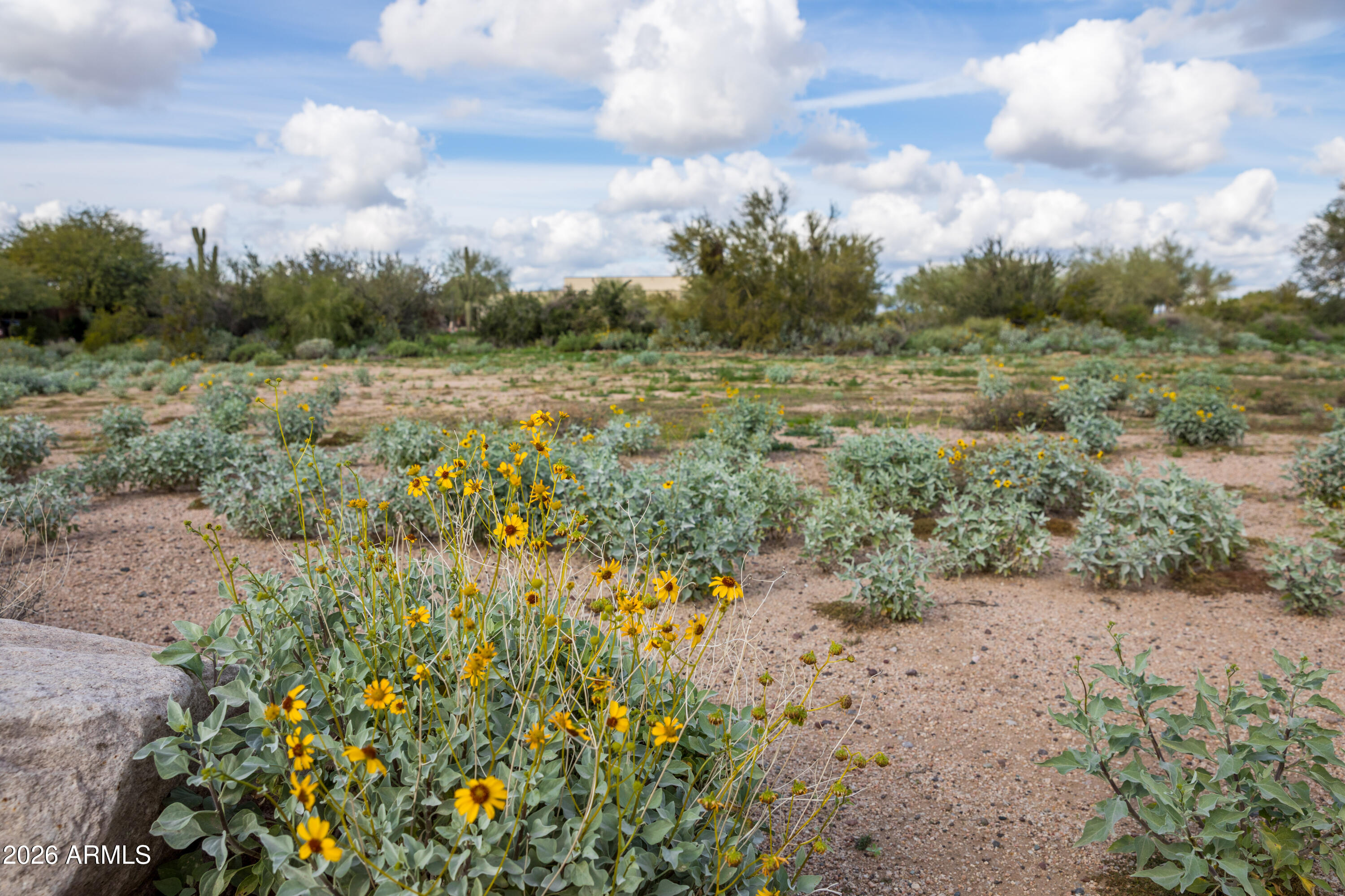 6382 E CALLE DE MANDEL Drive '-'