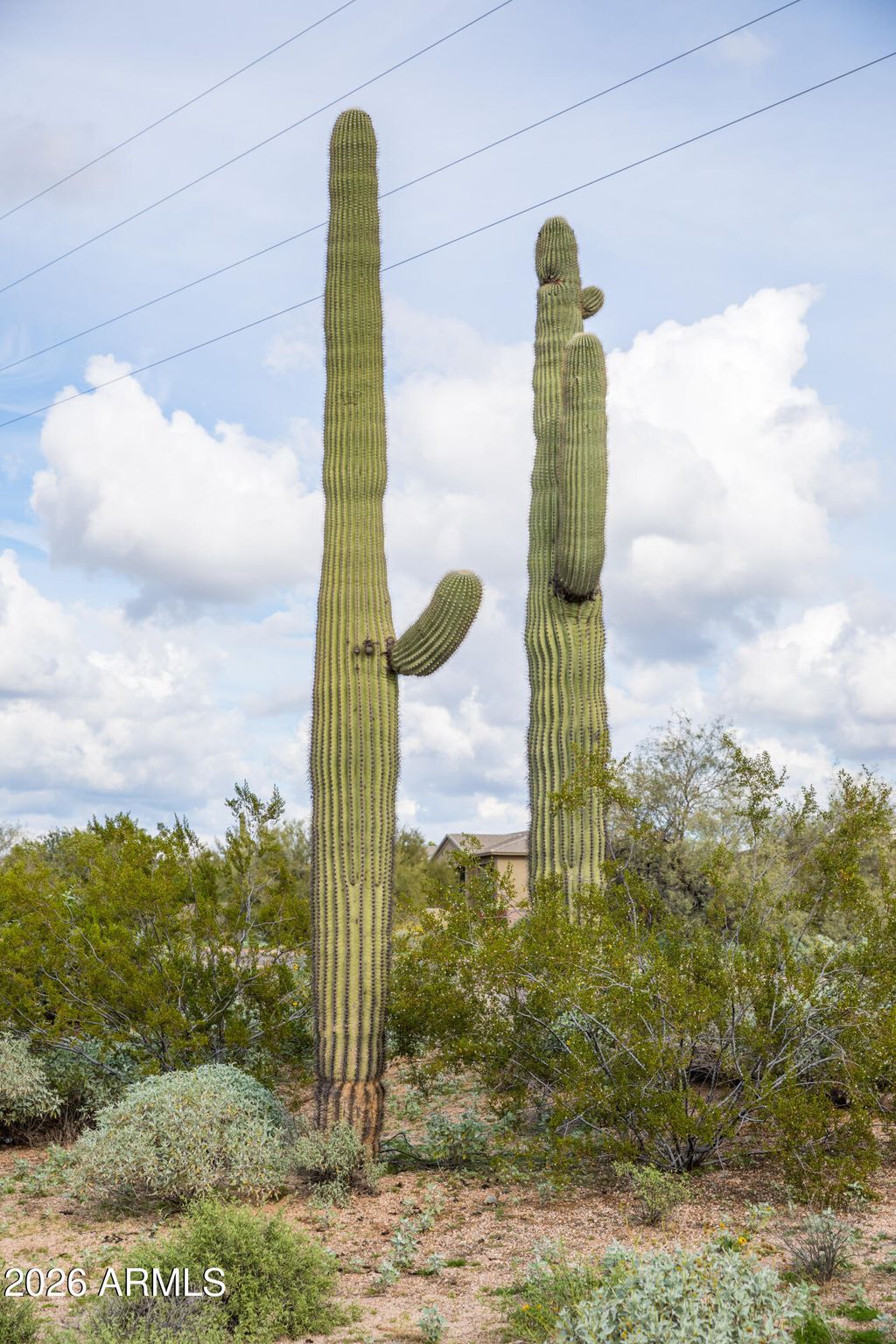 Photo of 6382 E Calle De Mandel Drive #'-', Scottsdale, AZ 85266 (MLS # 6965407)