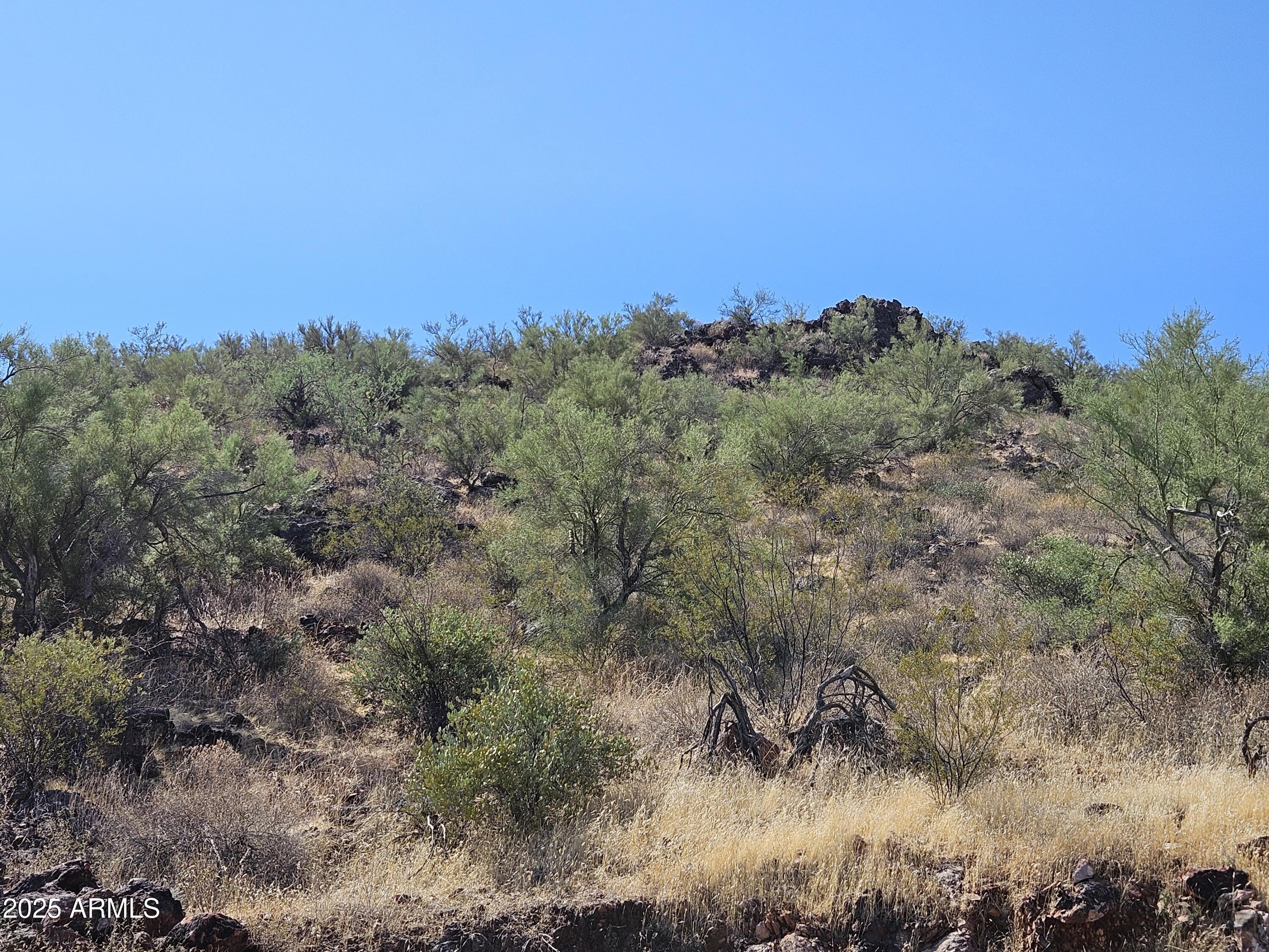 29600 W Black Mountain Rd. Road -