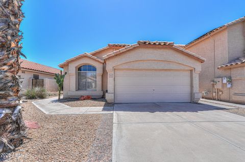 1155 W MACAW Drive Chandler AZ 85286