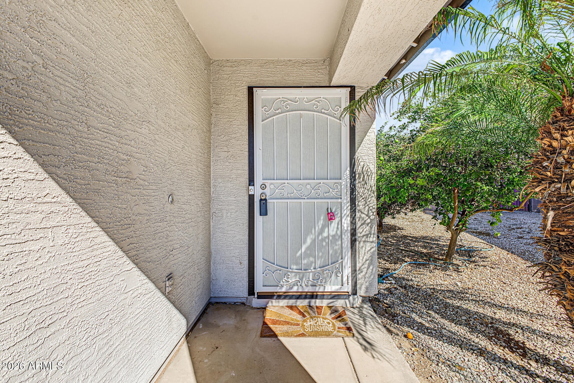 31193 N MESQUITE Way