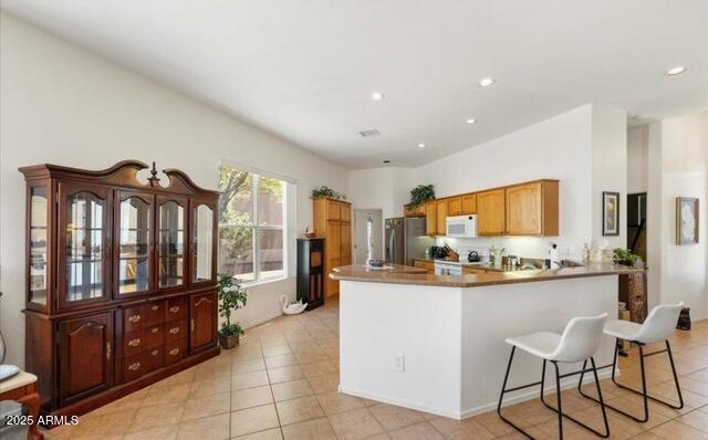 515 S CAMINO DE ENCANTO --
