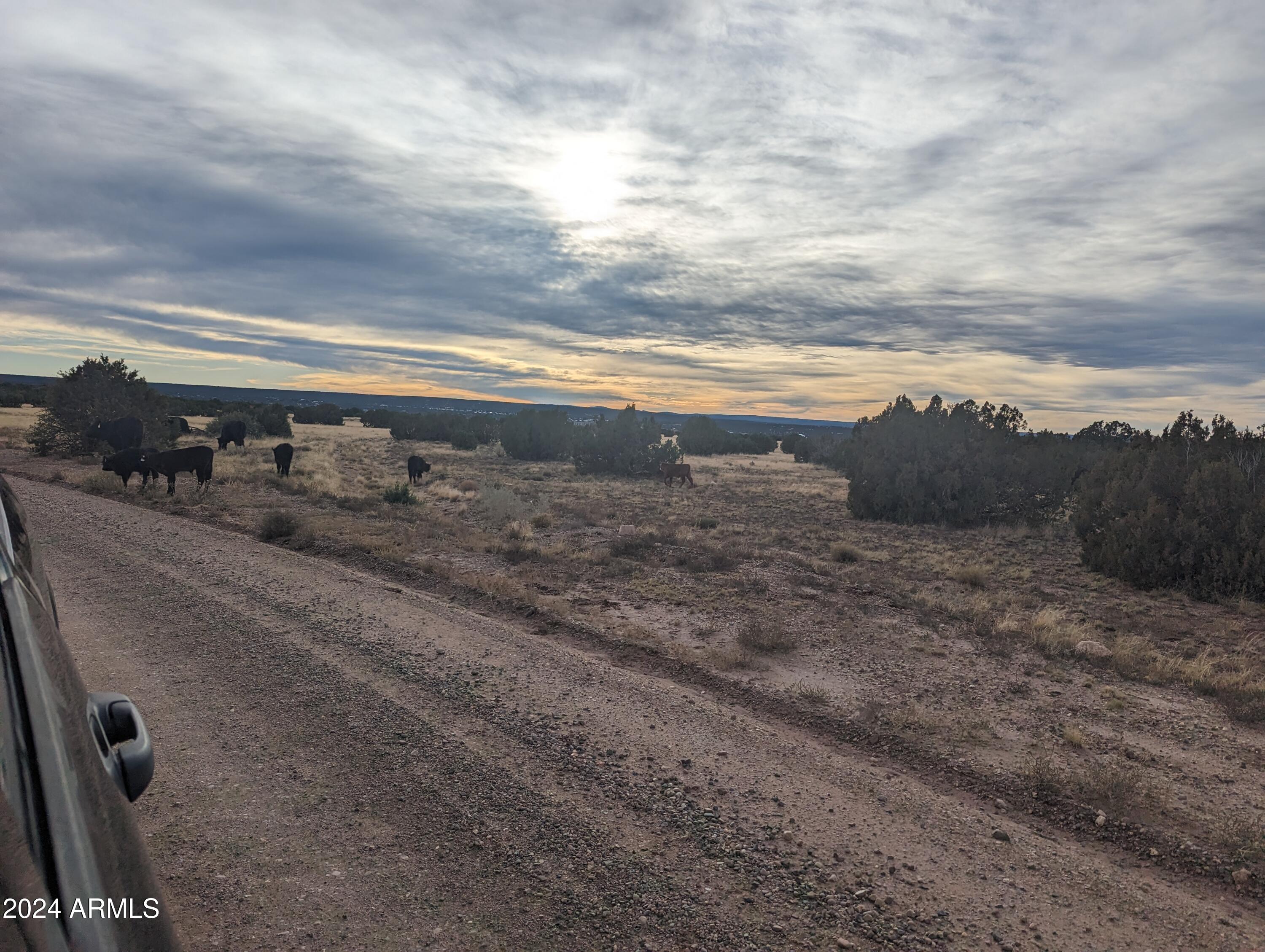 Multiple 10 Acre Parcels available.
404-69-005 D - Land