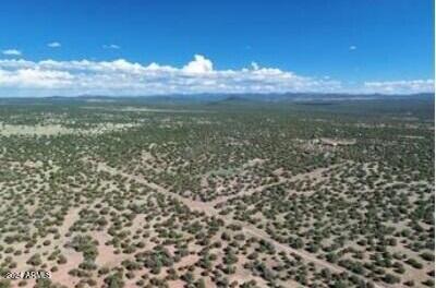 Multiple 10 Acre Parcels available.
404-69-005 D - Land