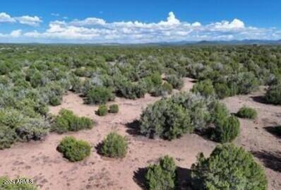 Multiple 10 Acre Parcels available.
404-69-005 D - Land