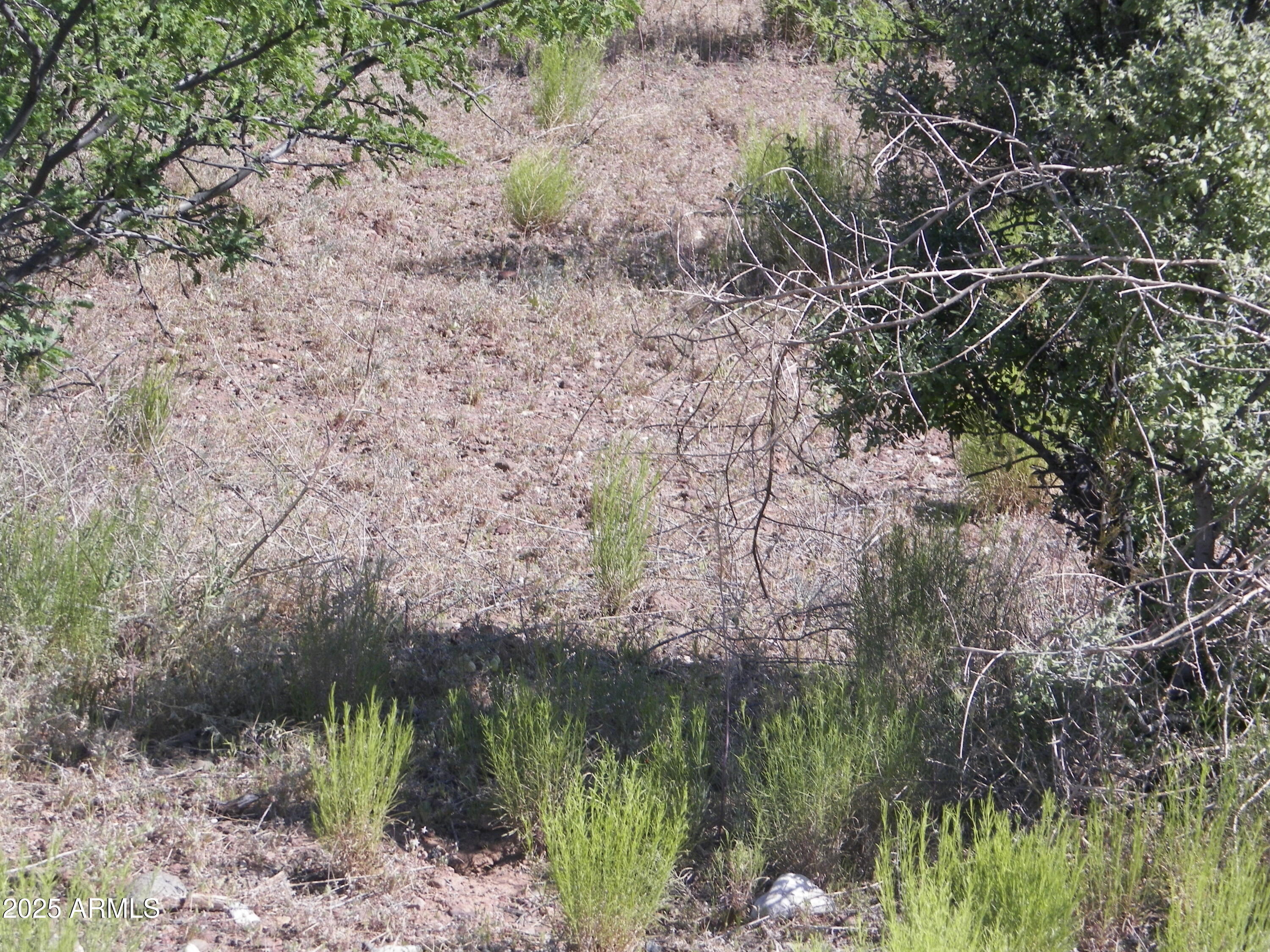 660 Pine Ridge Road 13