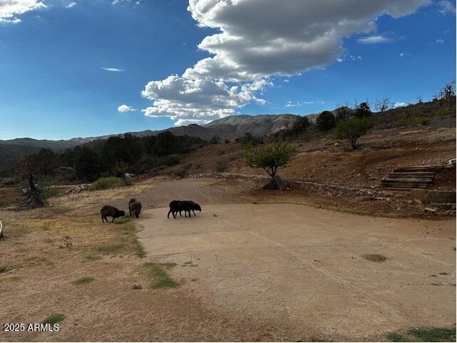 1098 E HORSESHOE SPRINGS Road