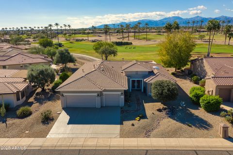 16909 W MARCOS DE NIZA Drive Surprise AZ 85387