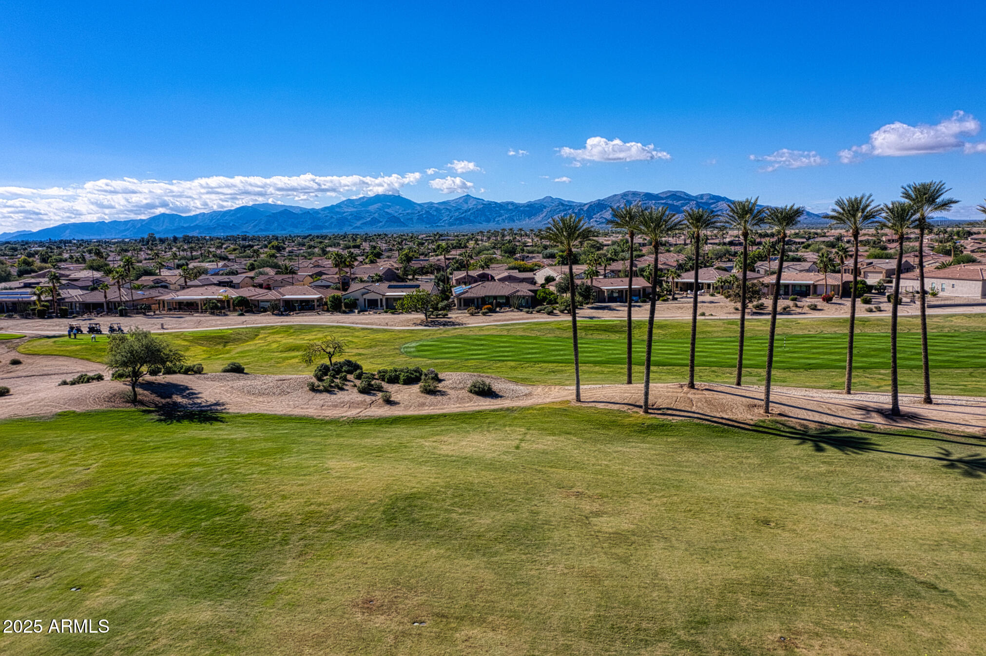 16909 W MARCOS DE NIZA Drive