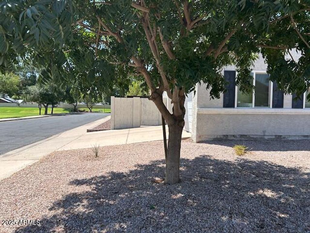 Photo of 521 E Encinas Avenue, Gilbert, AZ 85234 (MLS # 6909806)