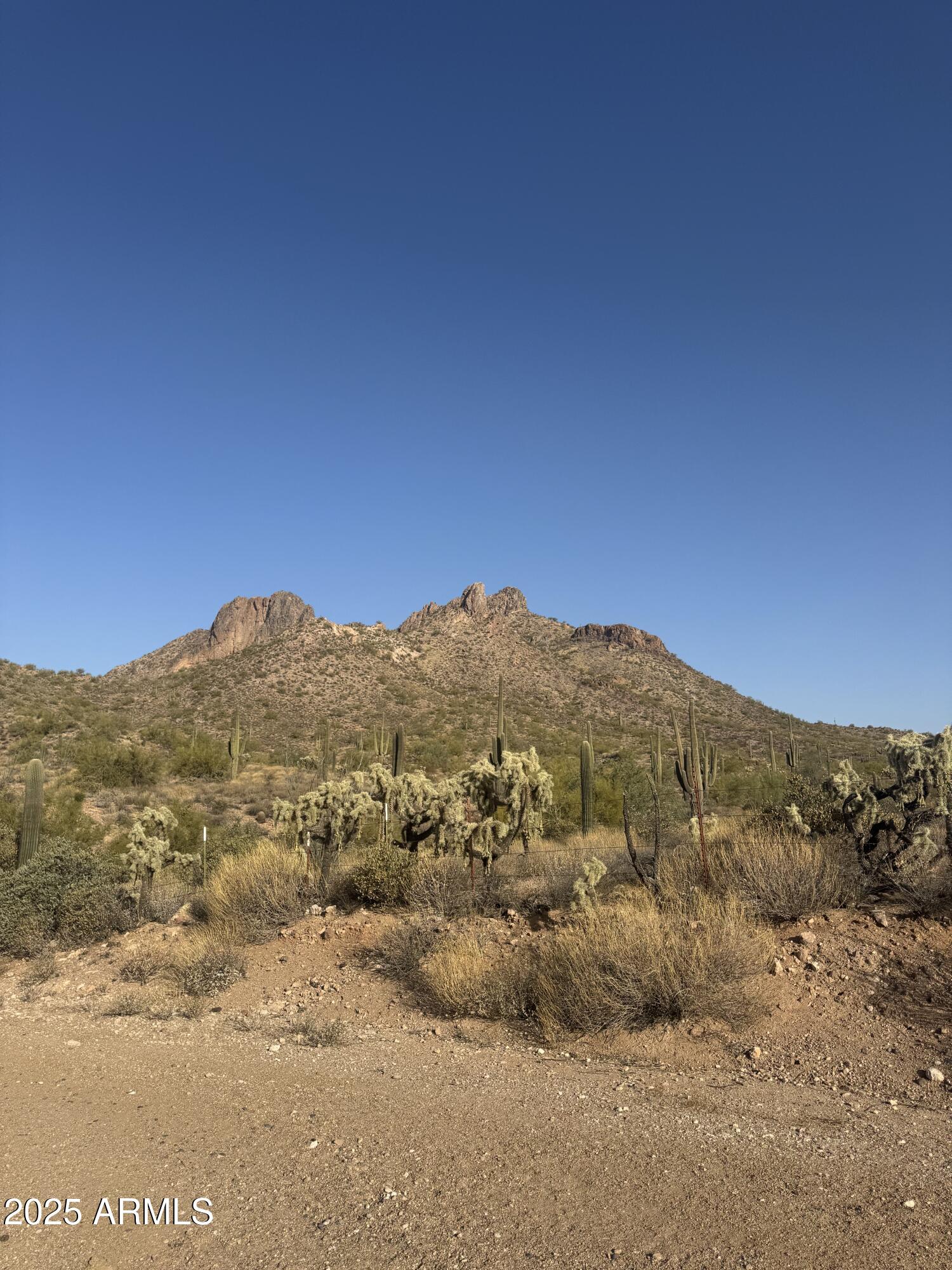493 W MCDOWELL Boulevard '-'