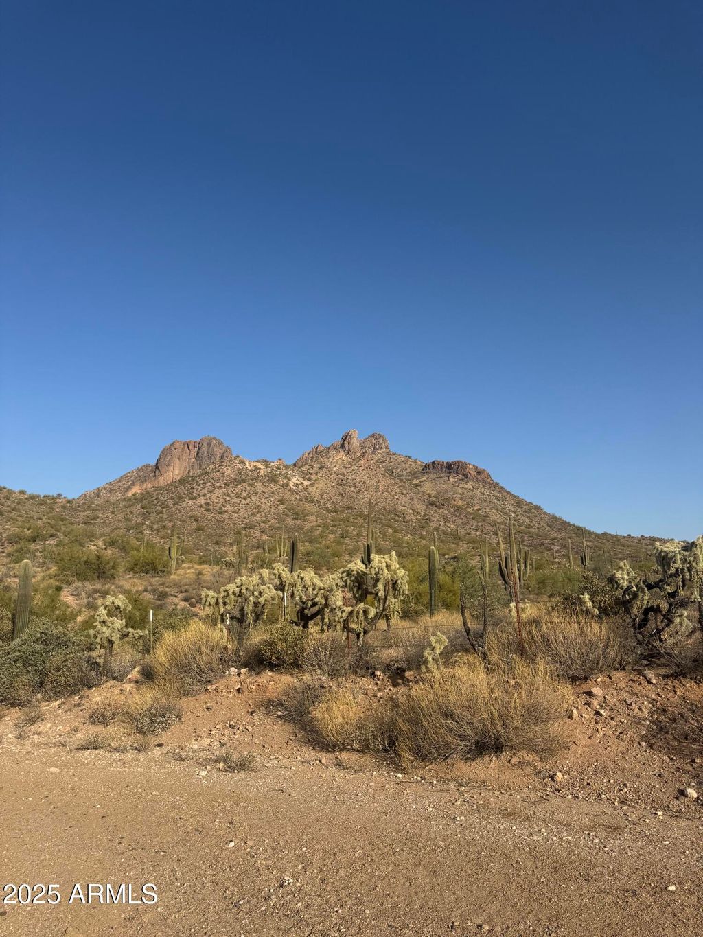 Photo of 493 W Mcdowell Boulevard #&#39;-&#39;, Apache Junction, AZ 85120 (MLS # 6828391)
