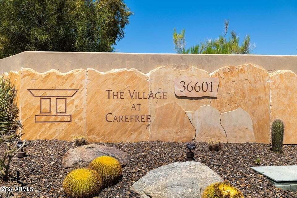 36601 N MULE TRAIN Road B19