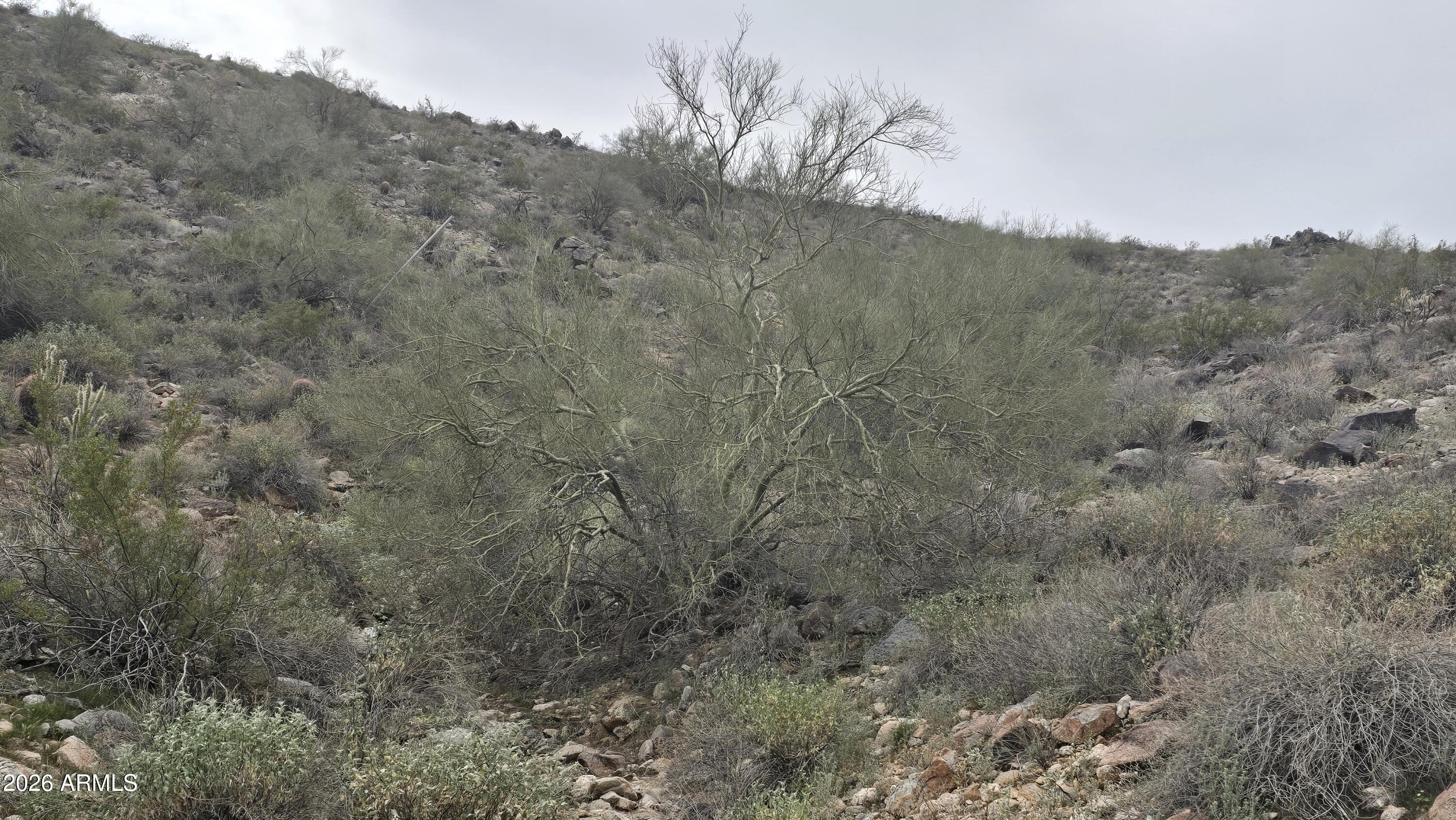 VERRADO PARCEL 5.804 - Land