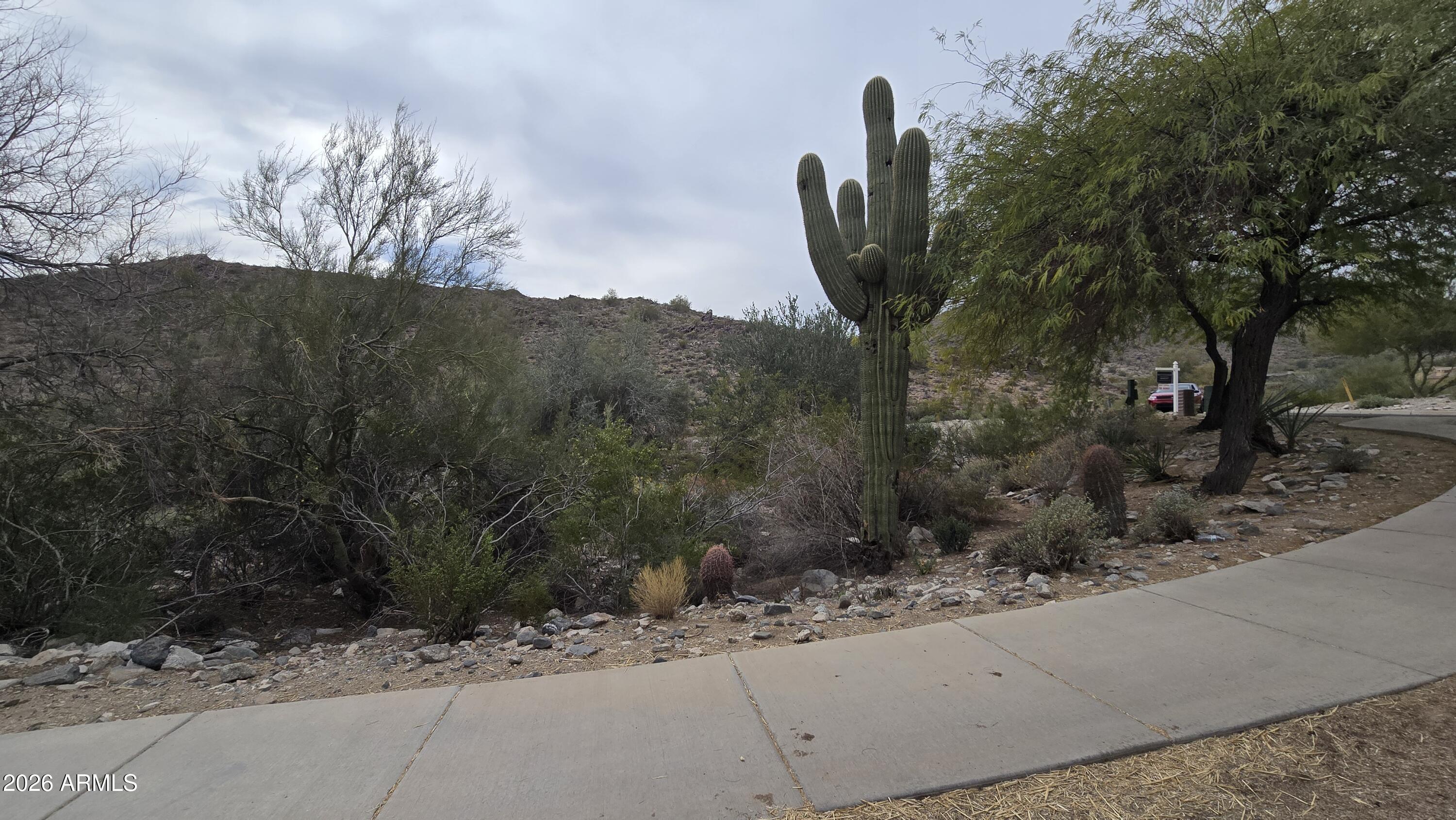 VERRADO PARCEL 5.804 - Land