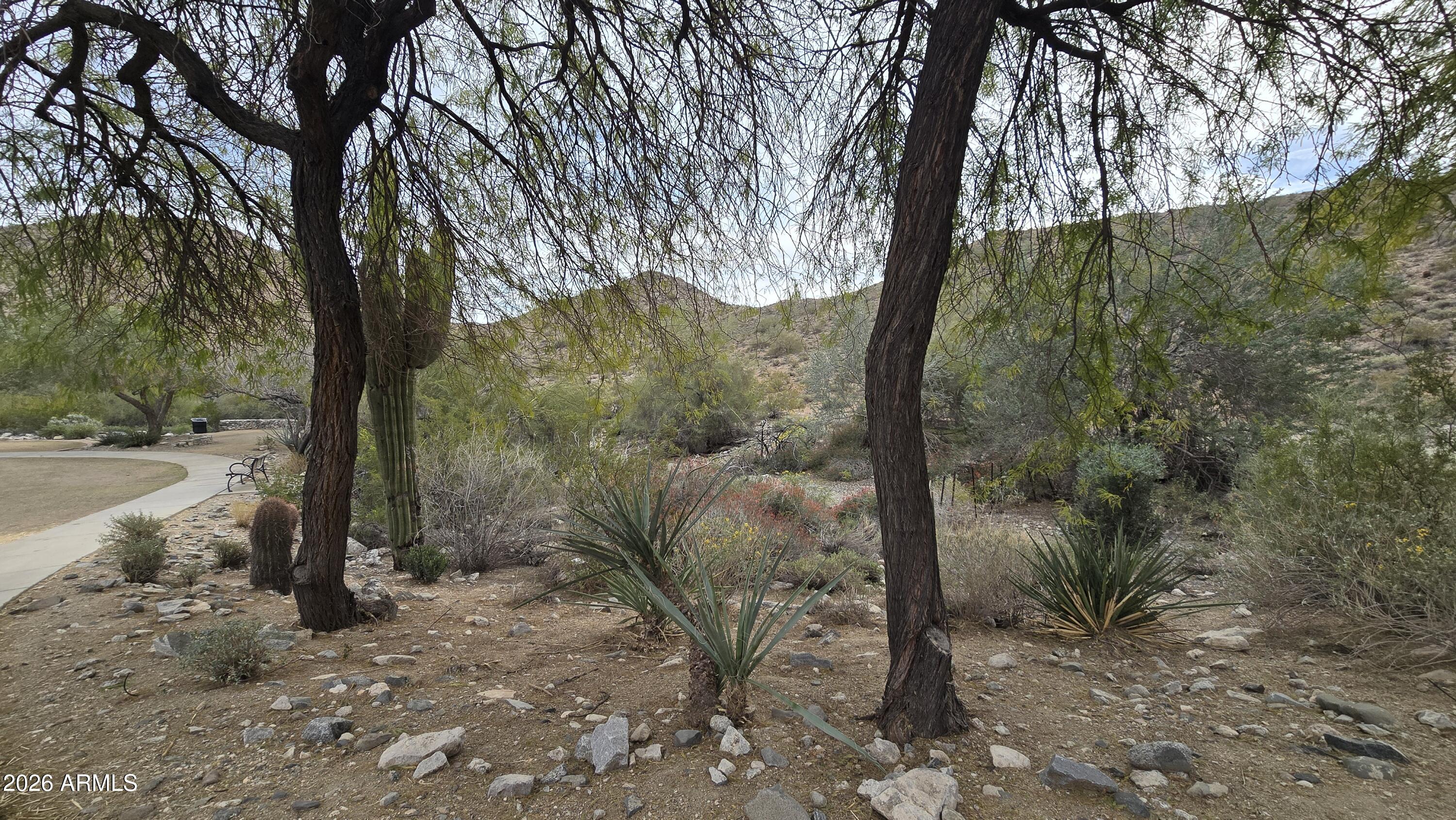 VERRADO PARCEL 5.804 - Land