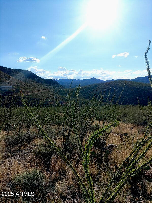 16231 E HILLTON RANCH Road -