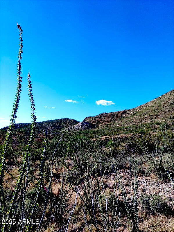 16231 E HILLTON RANCH Road -