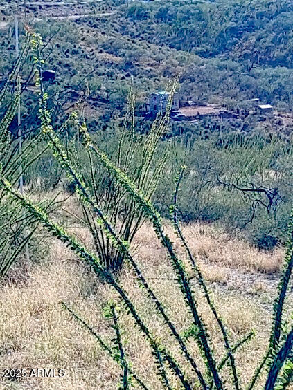 16231 E HILLTON RANCH Road -