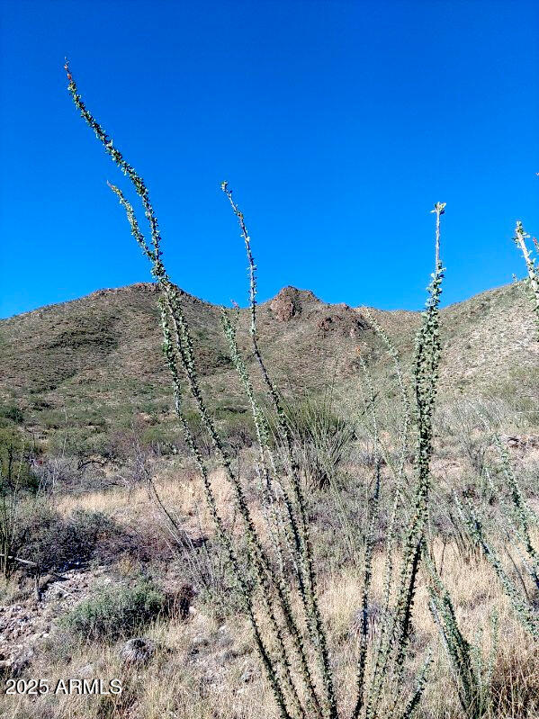 16231 E HILLTON RANCH Road -