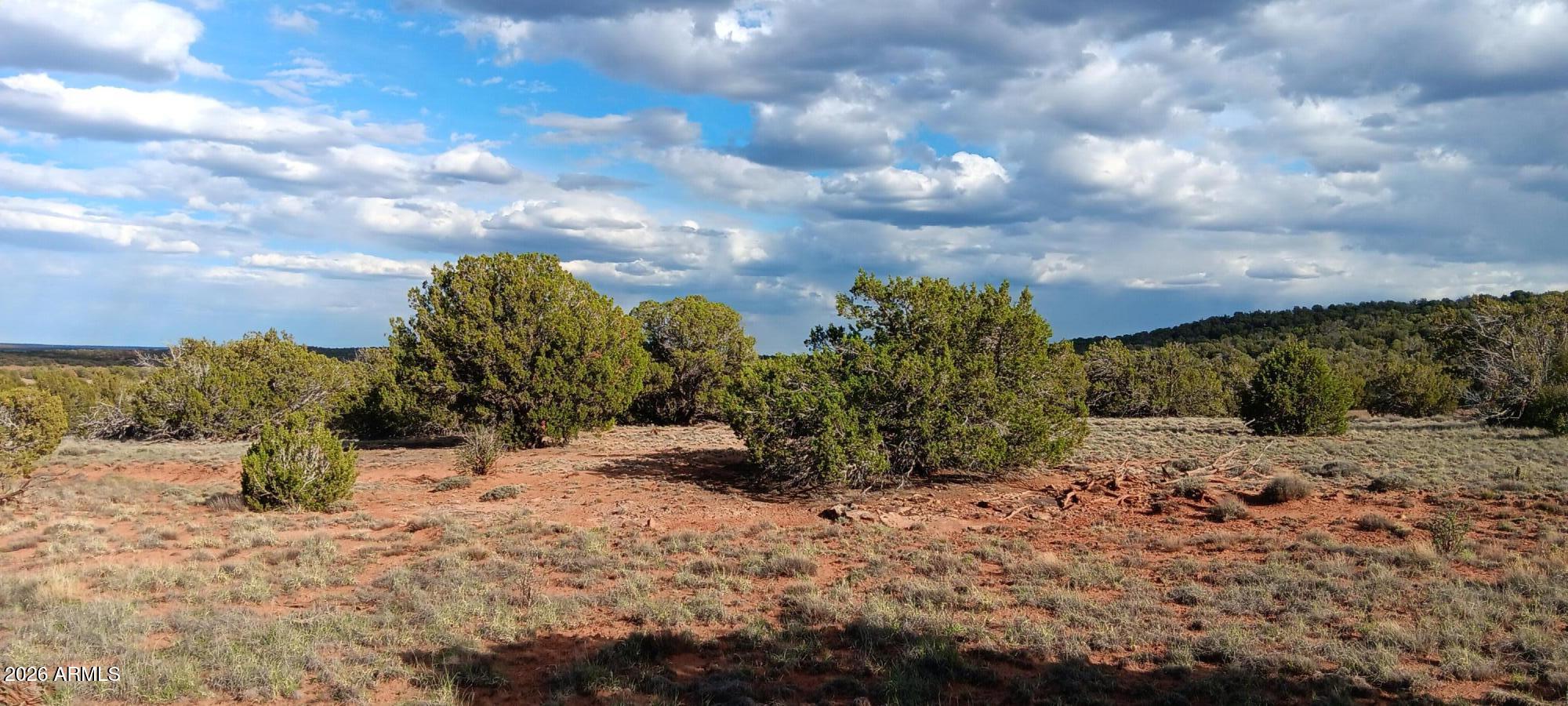 IDLEWILD RANCH - Land