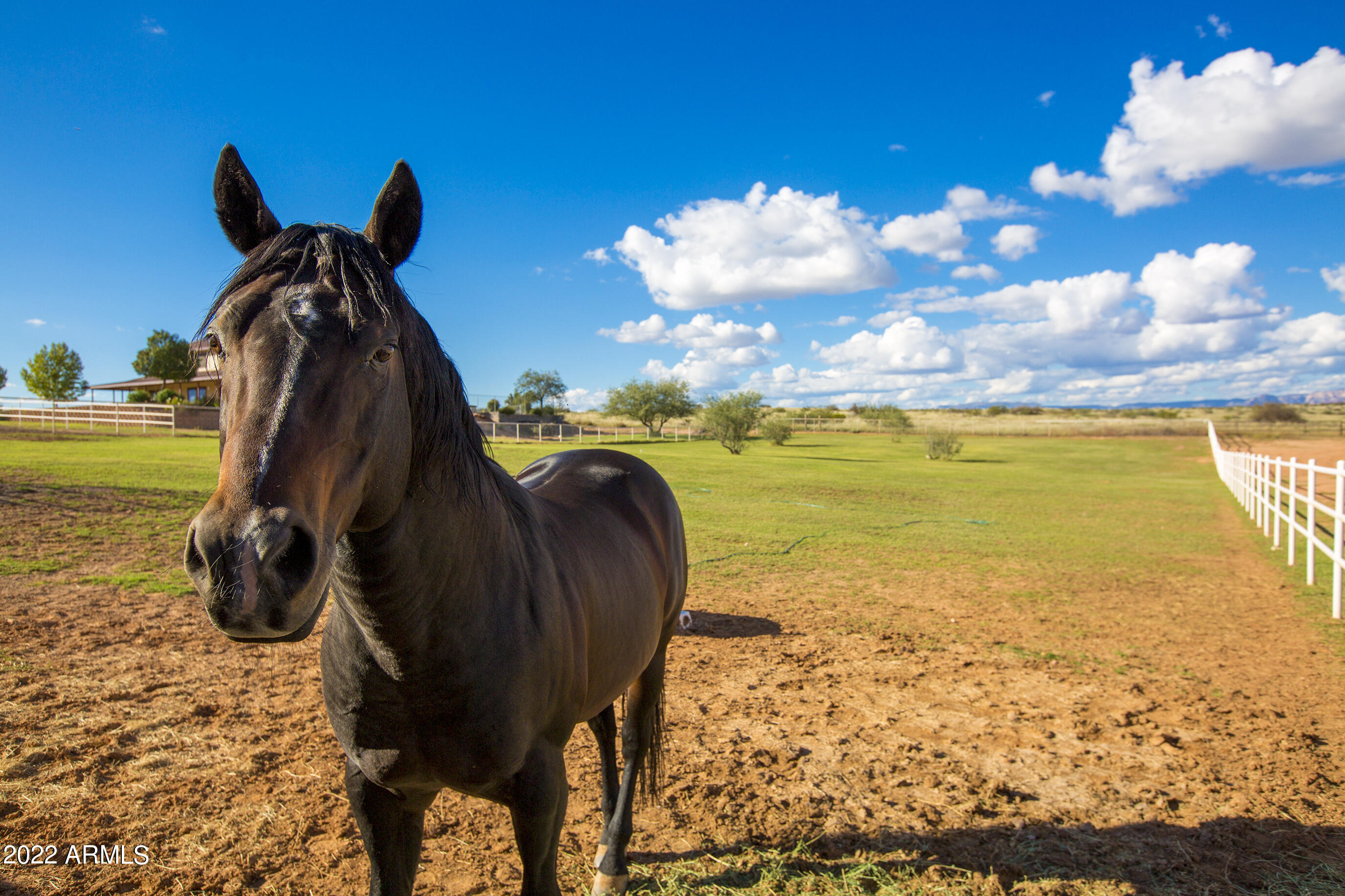 Cornville Horse Property - Residential