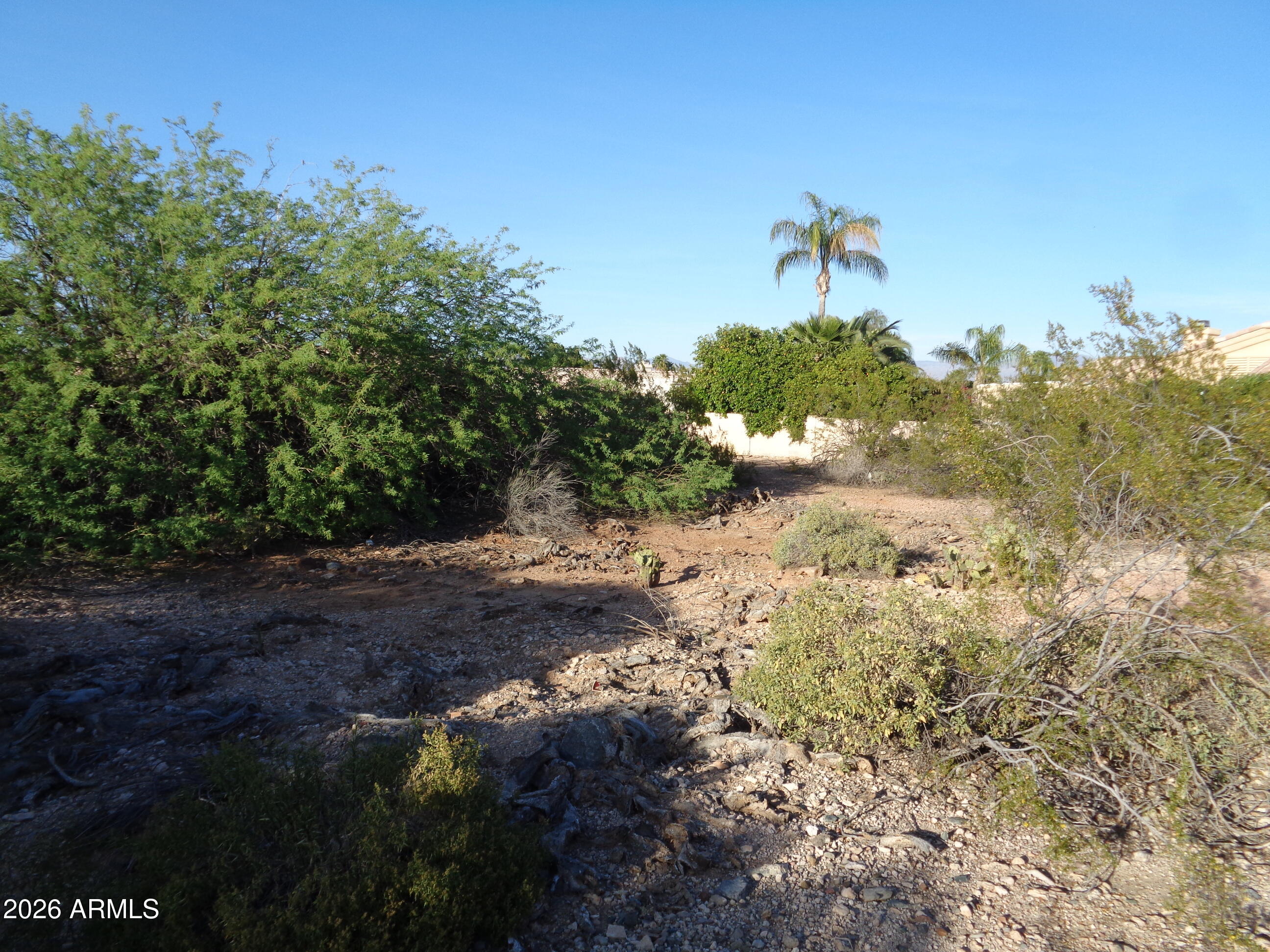 17320 E La Pasada Drive 3