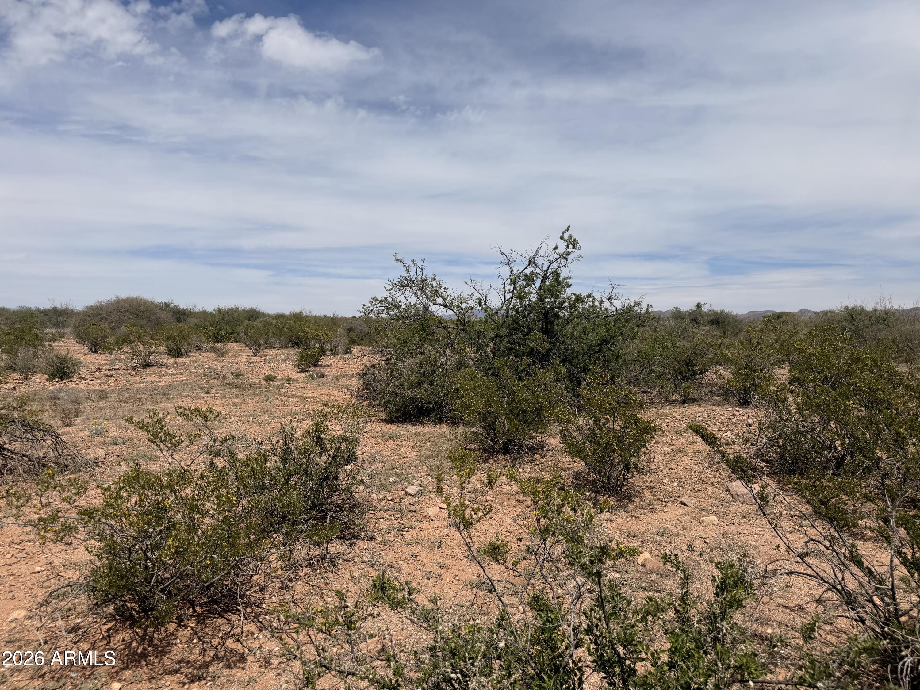 COCHISE COLLEGE PARK 10 - Land