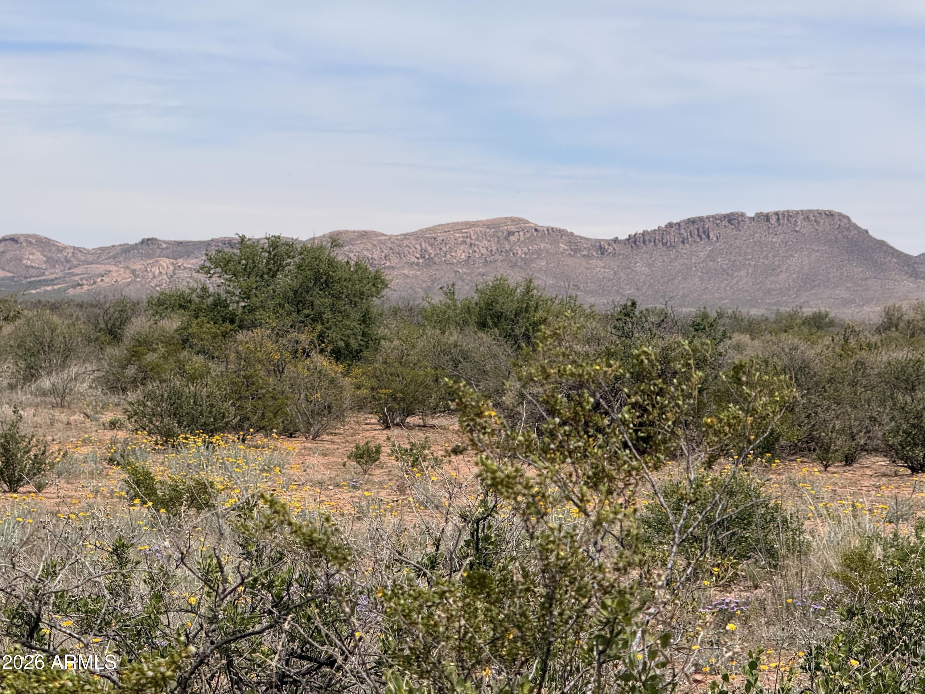 COCHISE COLLEGE PARK 10 - Land
