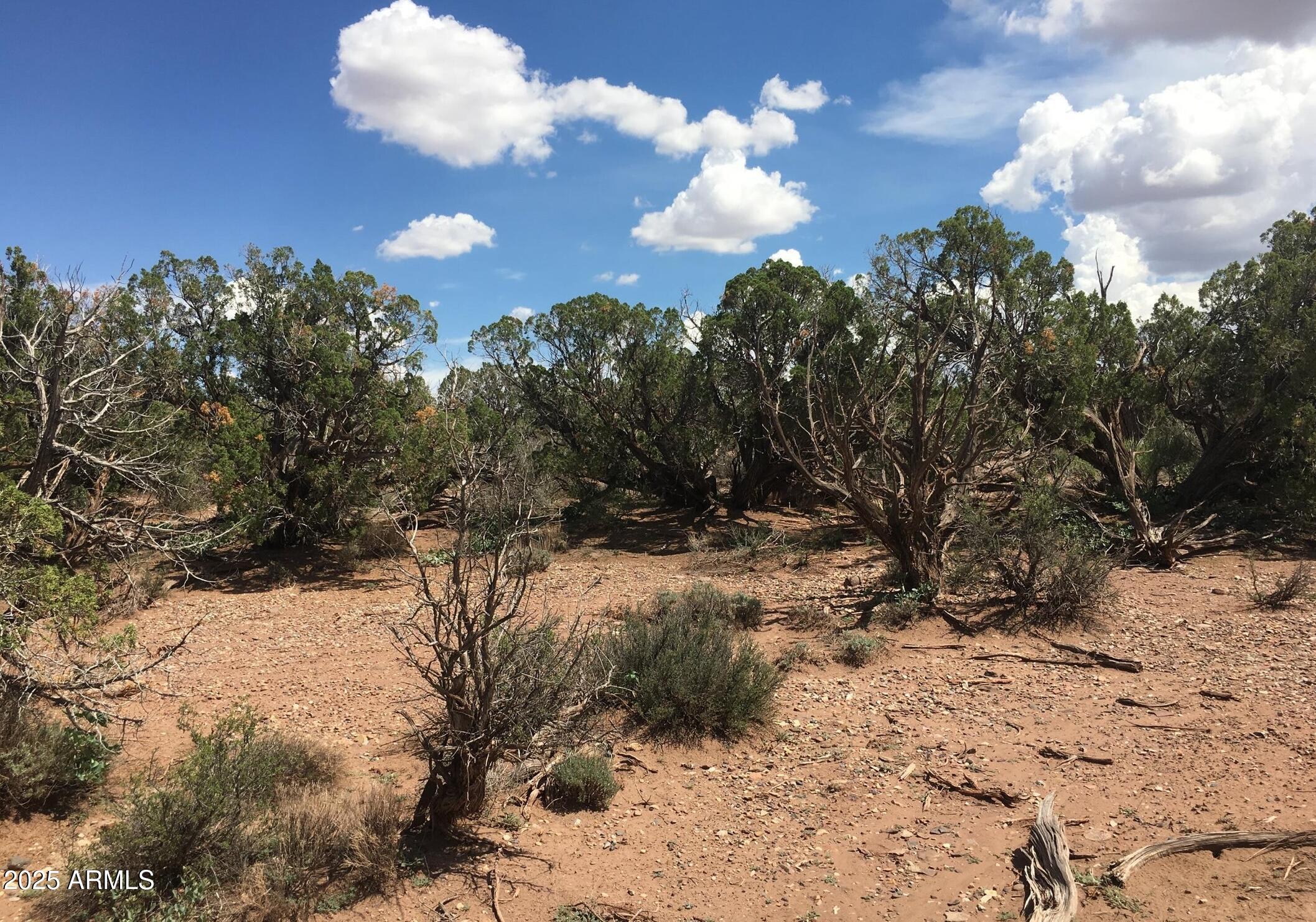 4266 BUNKHOUSE Road 6