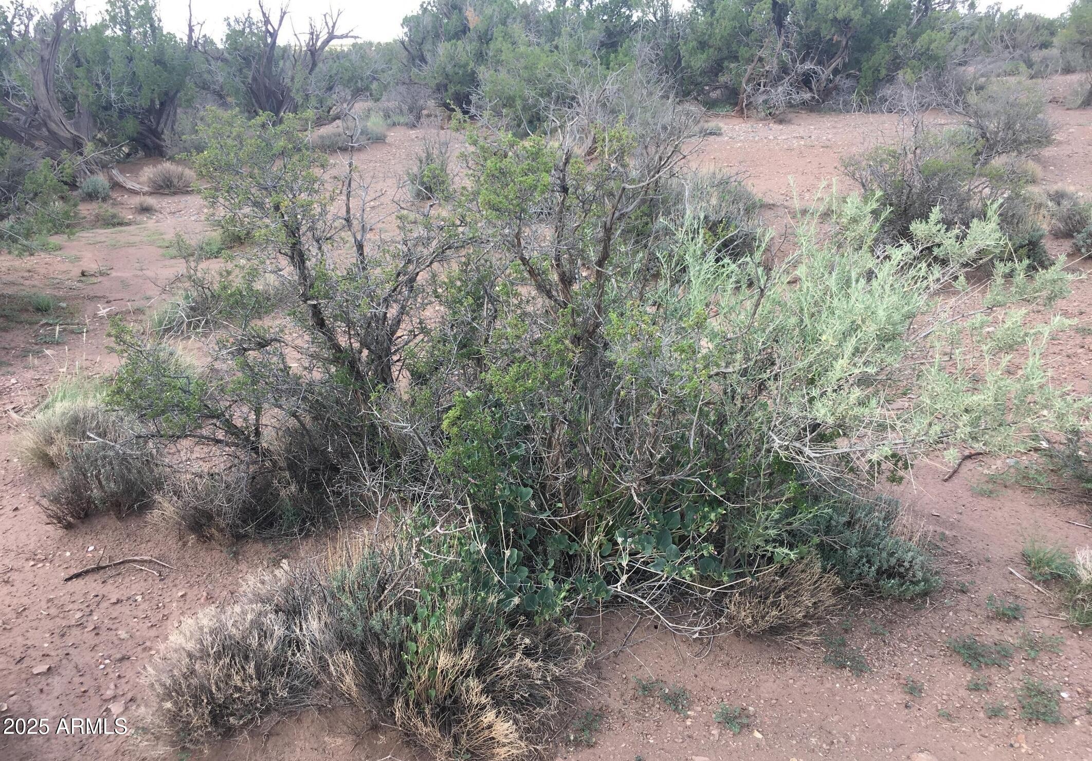 4266 BUNKHOUSE Road 6