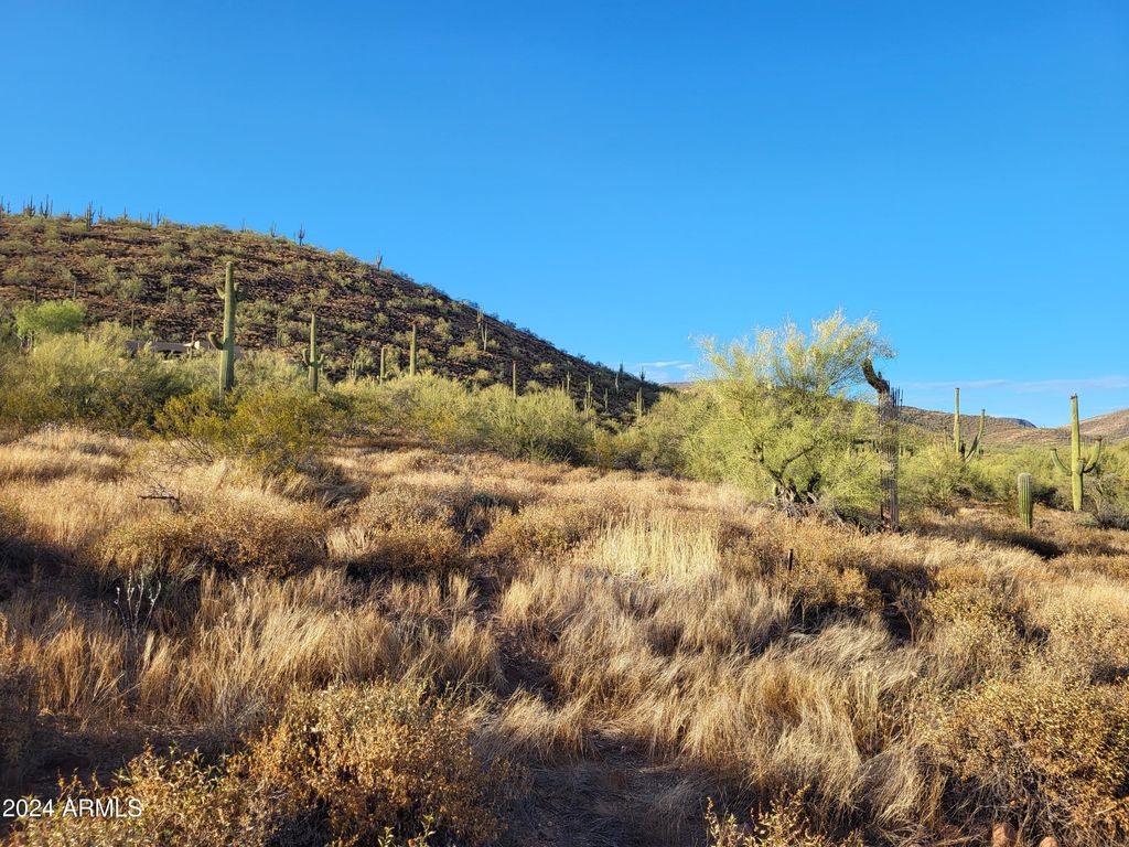 Photo of 439 N 24th Street #1, New River, AZ 85087 (MLS # 6867209)