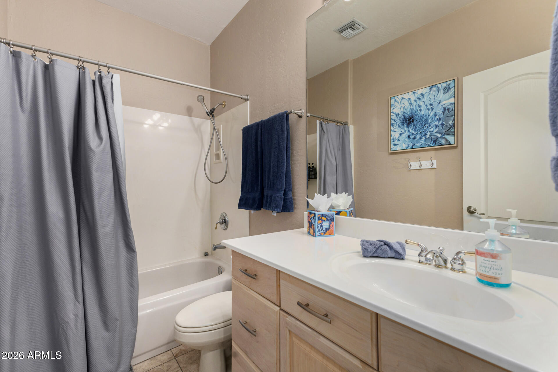 FOUNTAIN HILLS AZ 605C - Residential