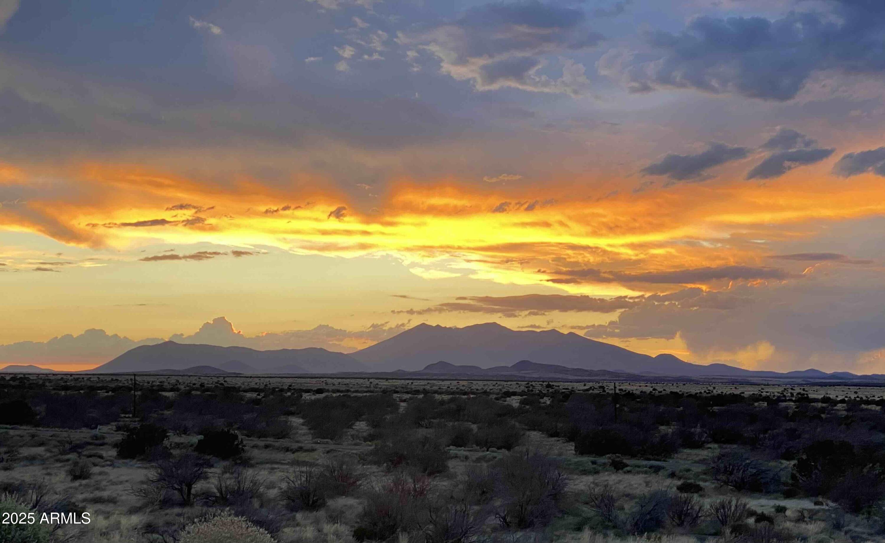 12907 BLAZING ORE Trail