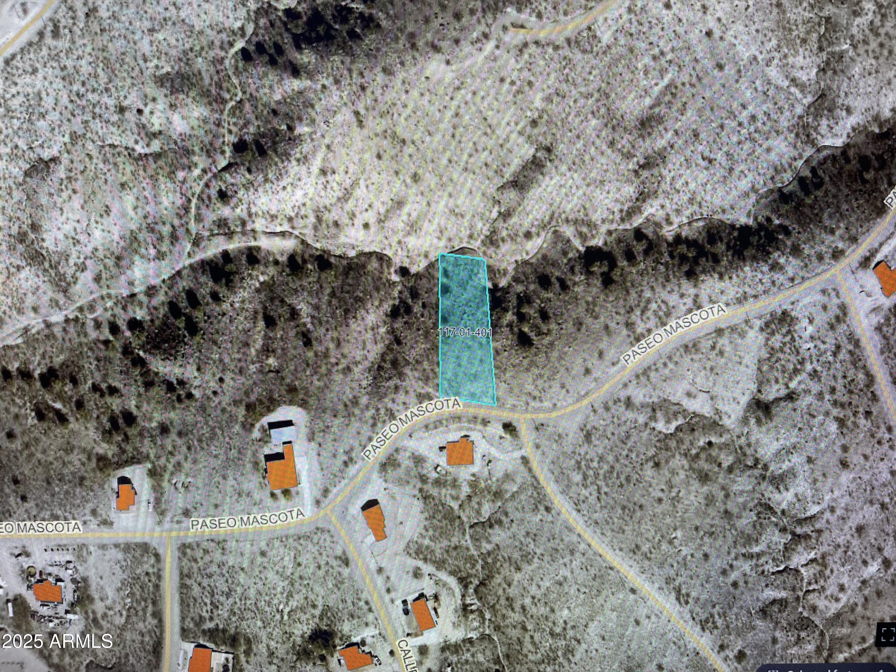 307 PASEO MASCOTA -- 30