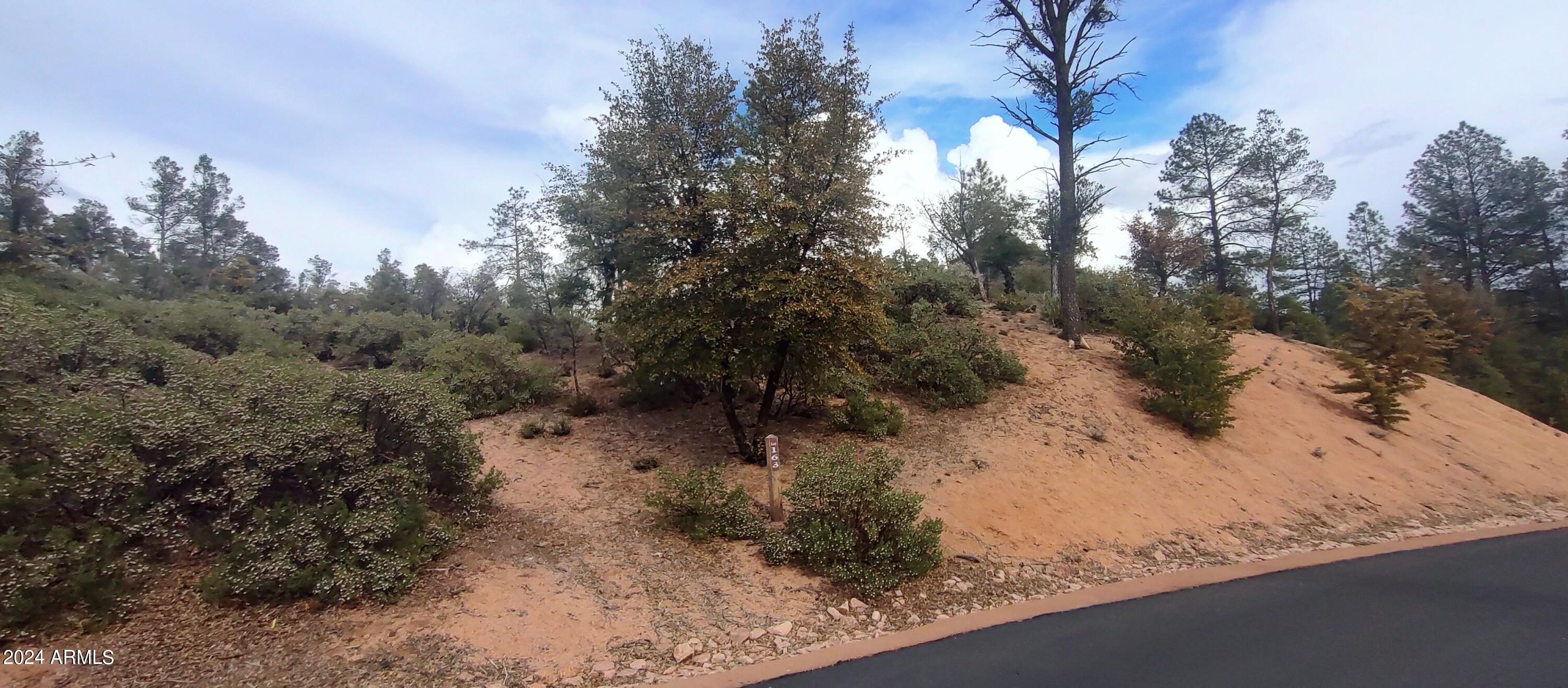 903 S Monument Valley Drive 163