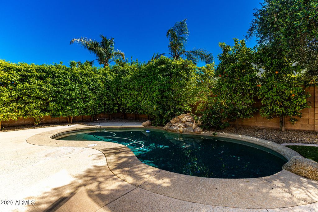 Photo of 417 W Desert Broom Drive, Chandler, AZ 85248 (MLS # 6995324)