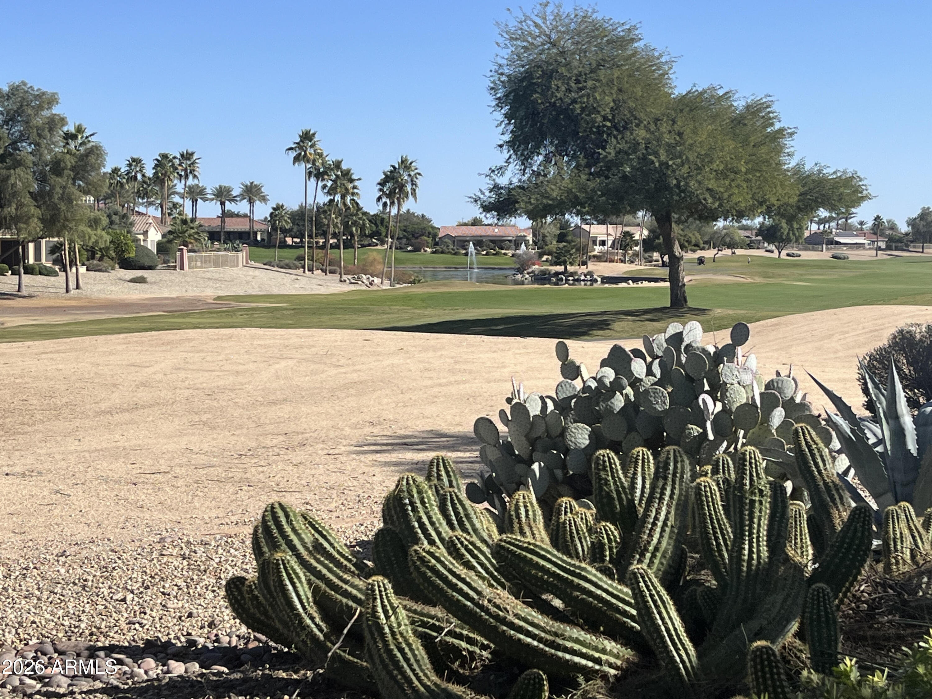 19739 N MOUNTAIN SAGE Lane