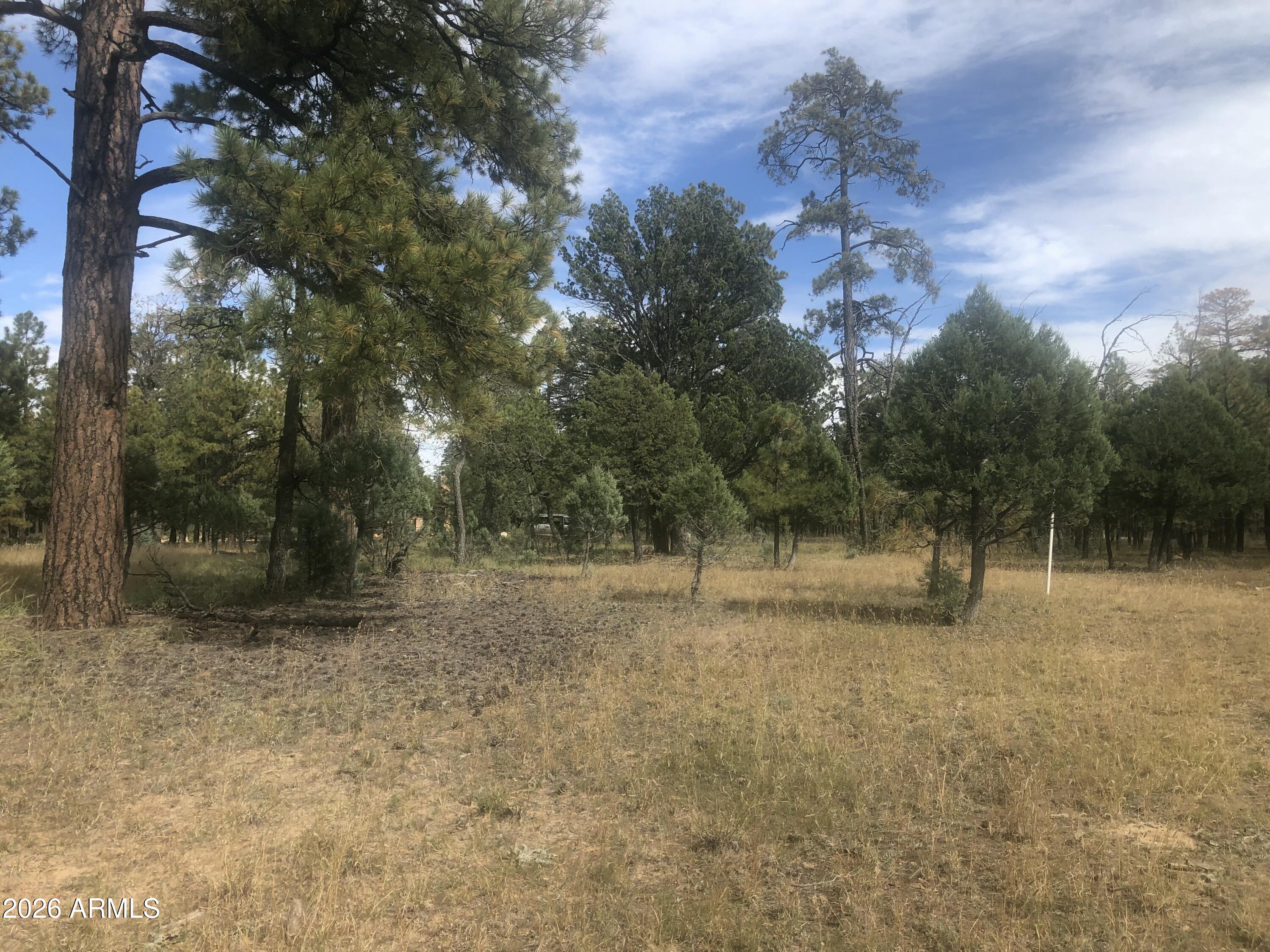 4382 JACK PINE Place 144
