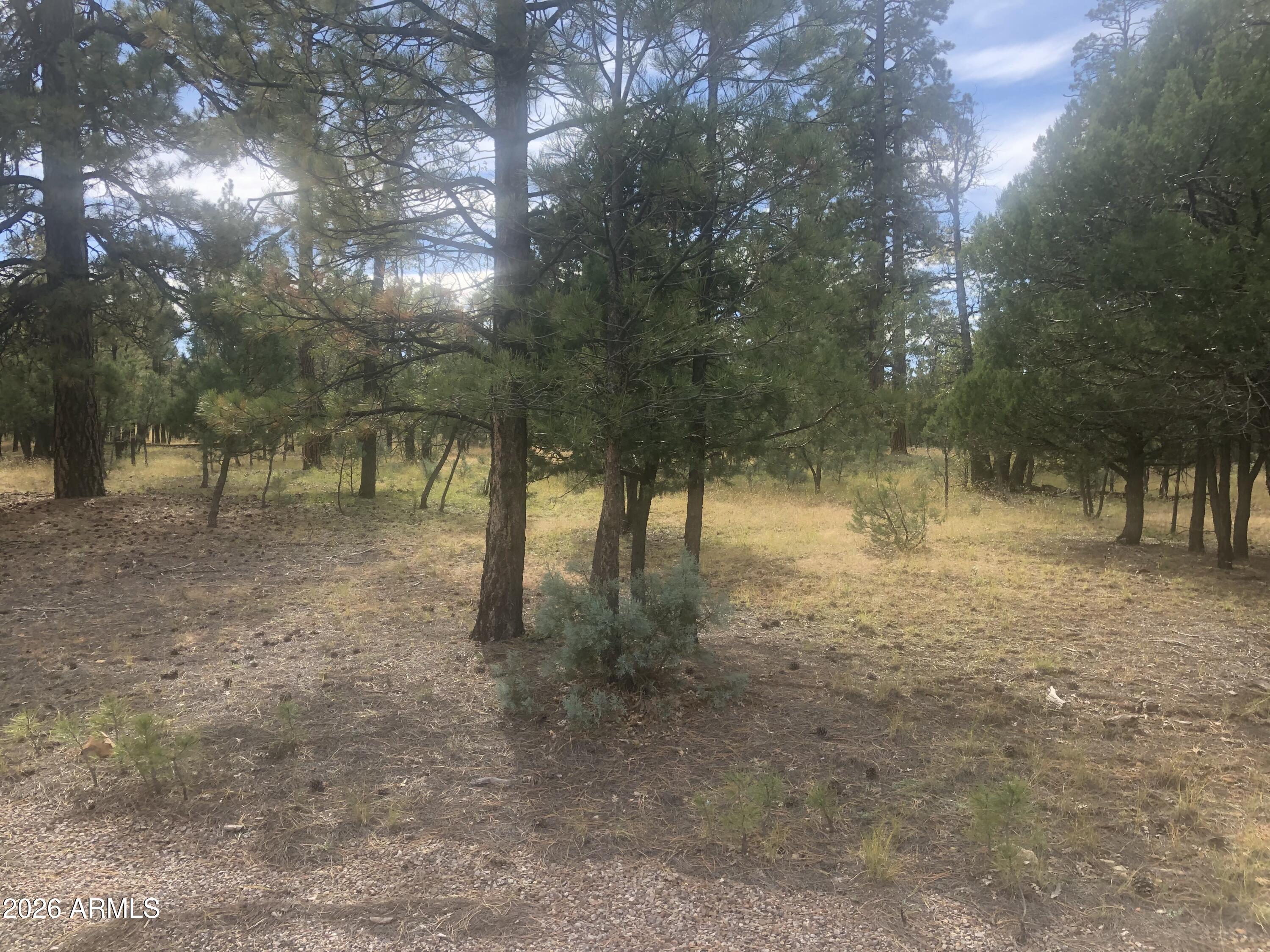 4382 JACK PINE Place 144