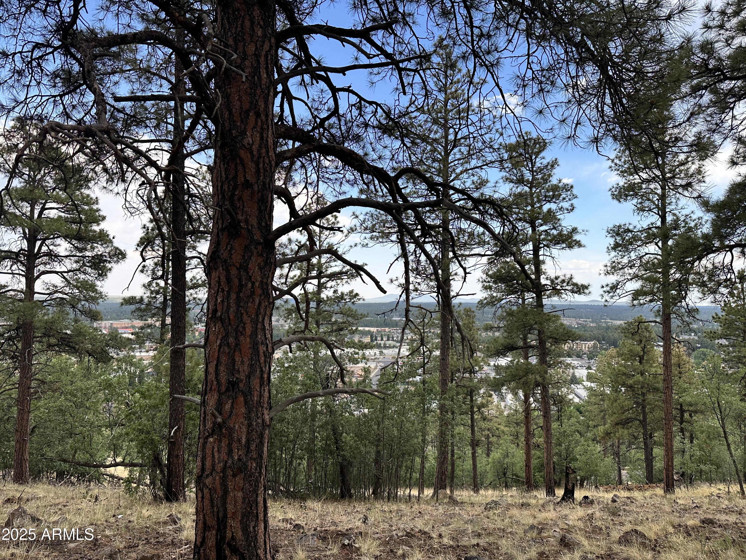 1548 W LOWER COCONINO Avenue 8