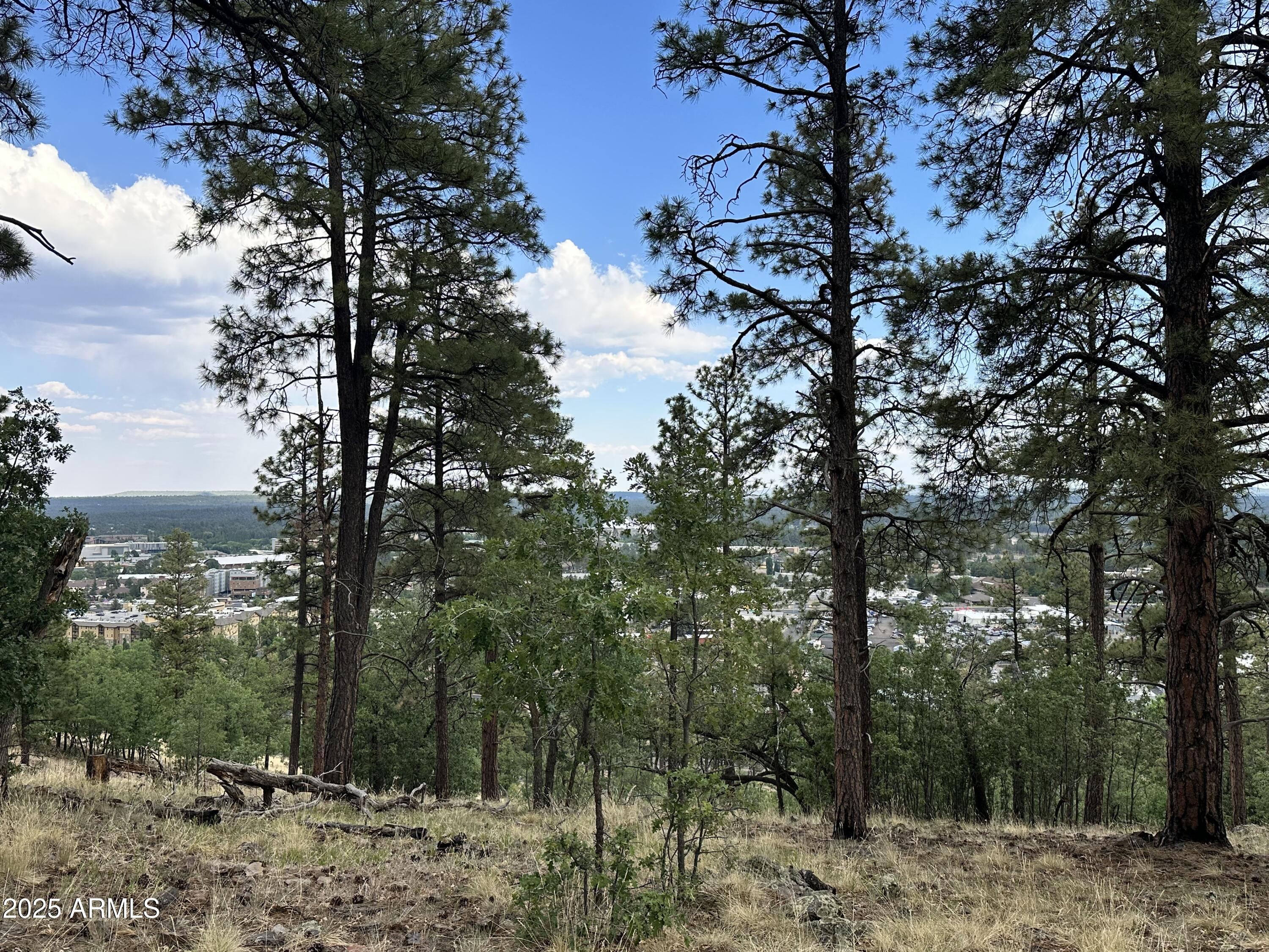 1548 W LOWER COCONINO Avenue 8