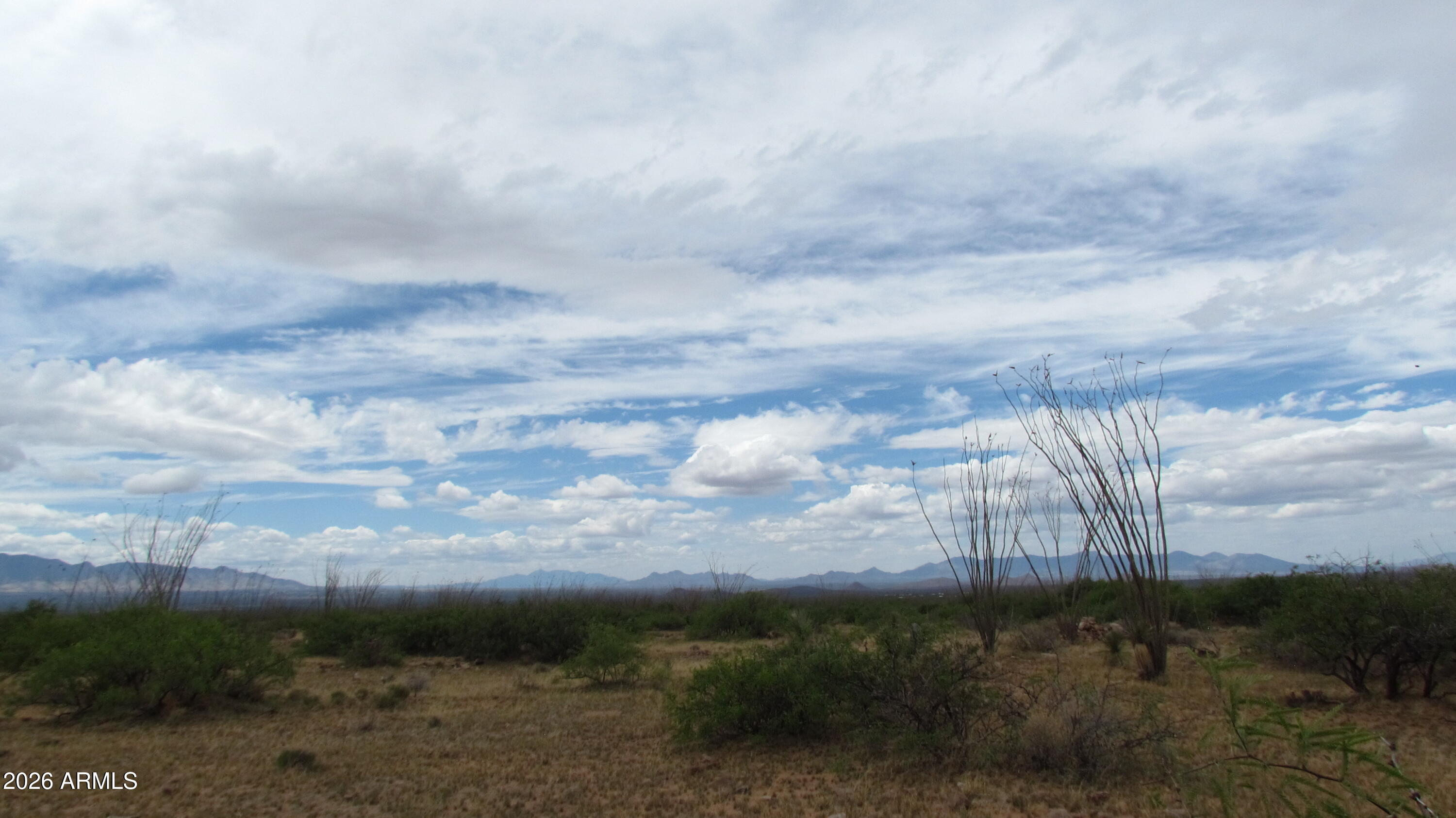 MULE MOUNTAIN RANCHES PHASE 2 - Land
