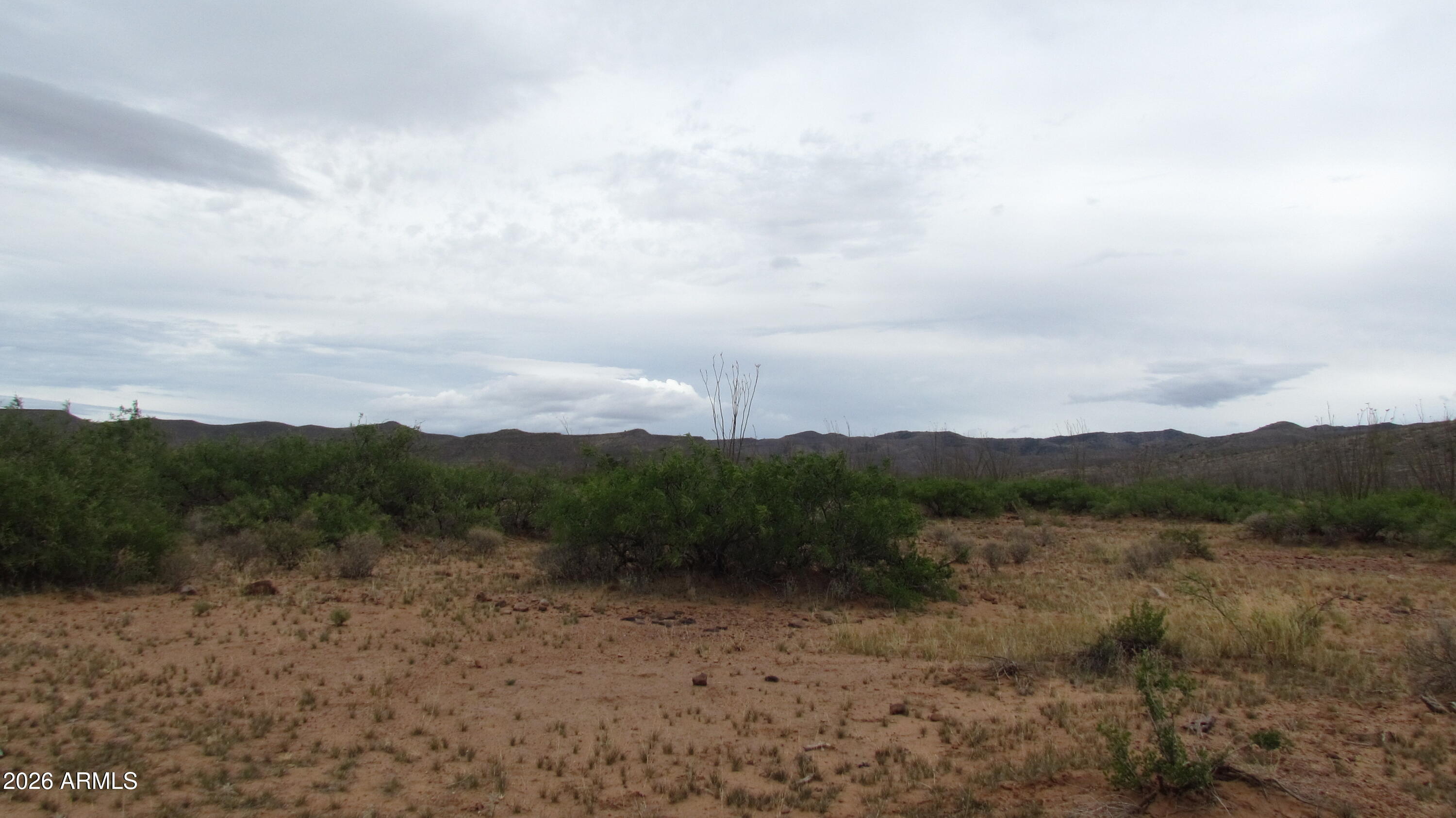 MULE MOUNTAIN RANCHES PHASE 2 - Land