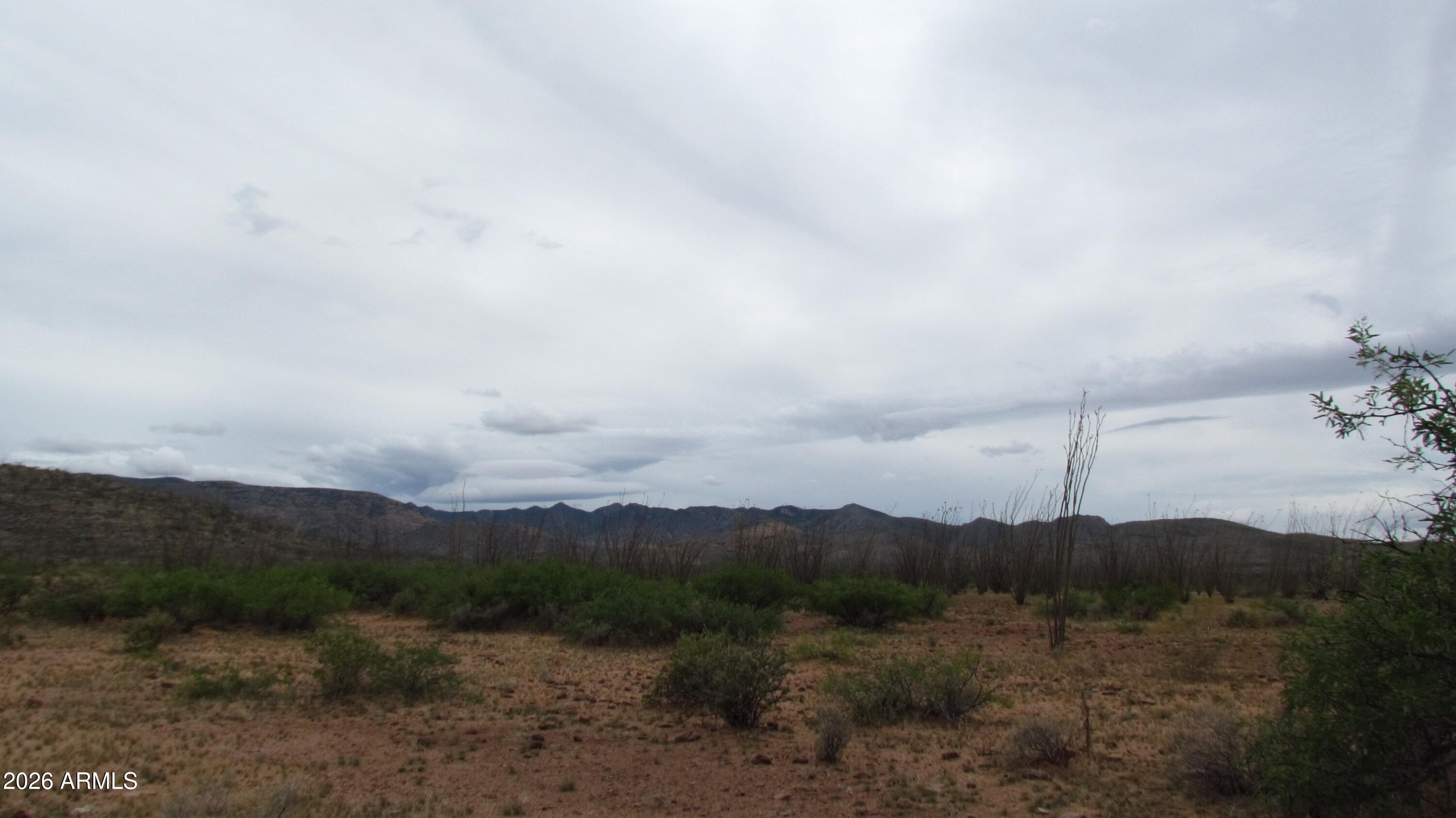 MULE MOUNTAIN RANCHES PHASE 2 - Land