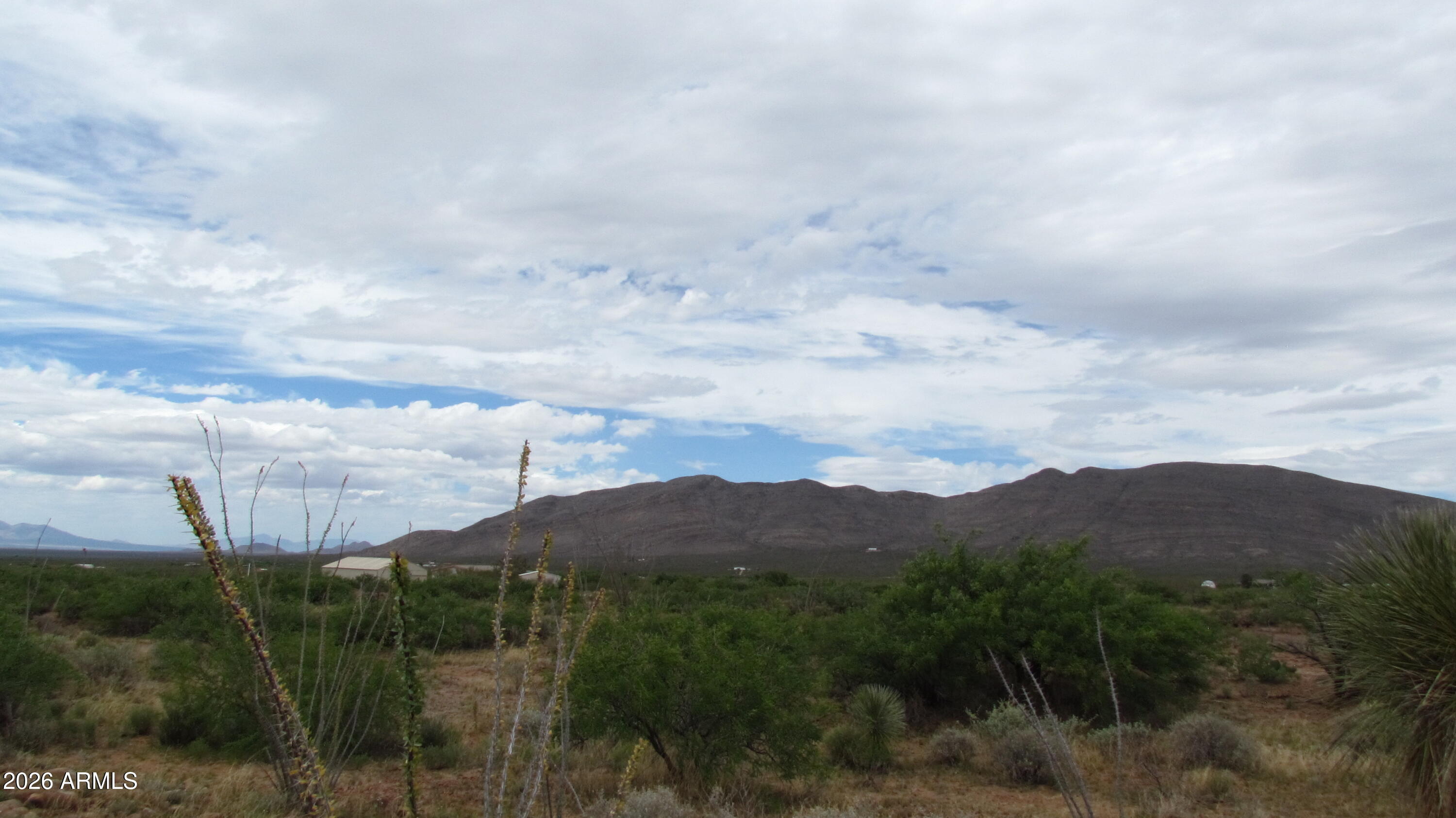 MULE MOUNTAIN RANCHES PHASE 2 - Land