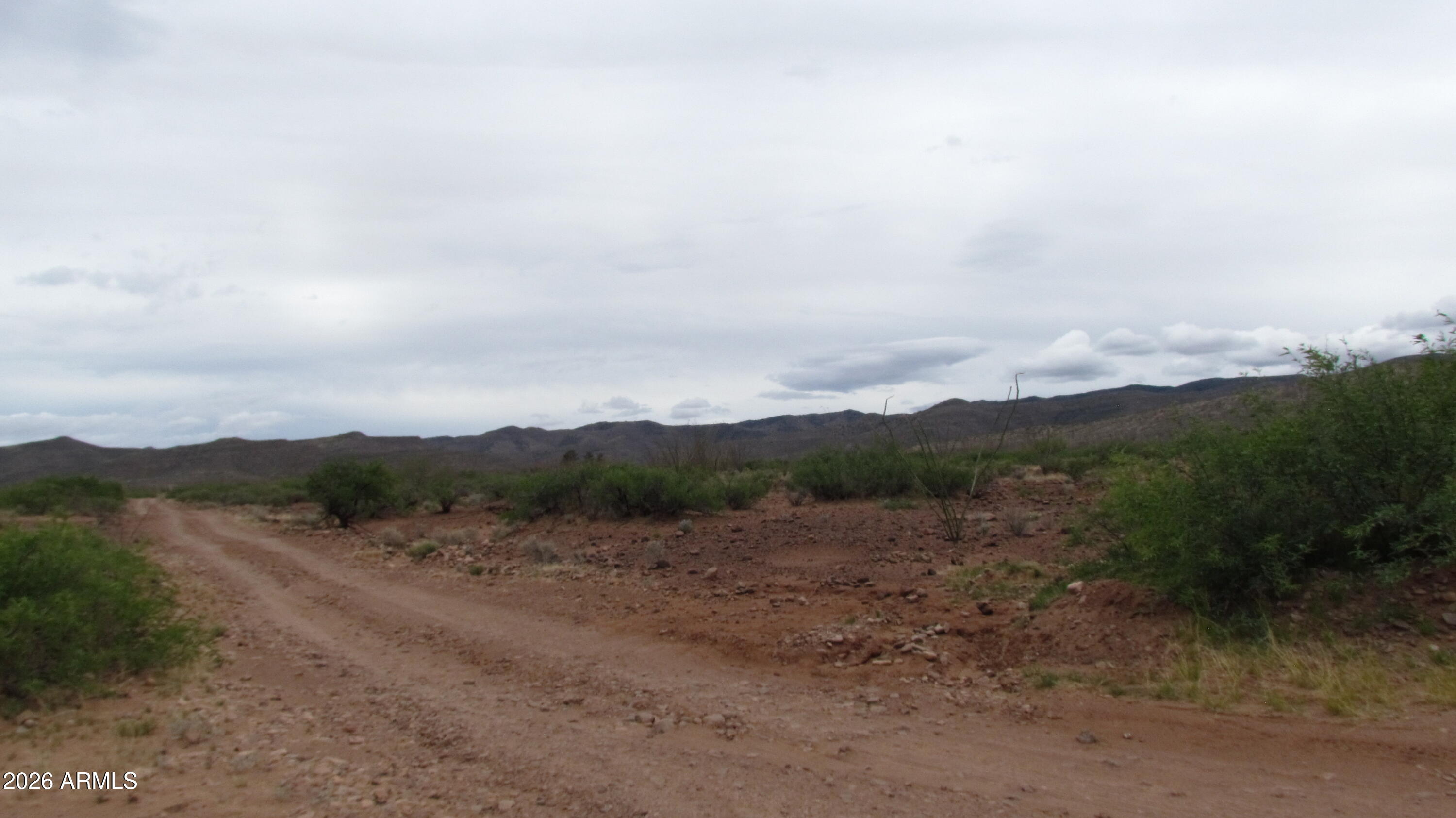 MULE MOUNTAIN RANCHES PHASE 2 - Land